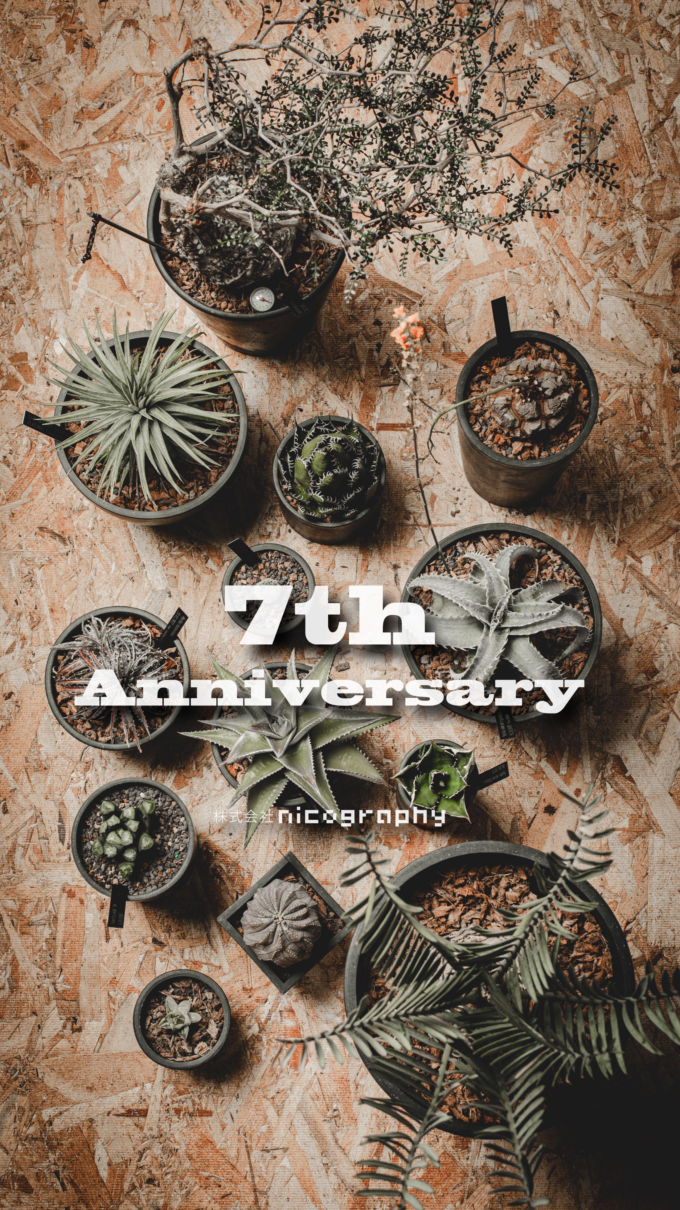 運と縁と勘だけで生きてる弊社が、おかげ様で7期目を迎えることができました。
ひとえにお声掛け下さる皆様のおかげです。
これからも染まらず混じらず飄々と進化していきたいとおもいます。
#studiolighting #monolightshooting #stilllifephotography