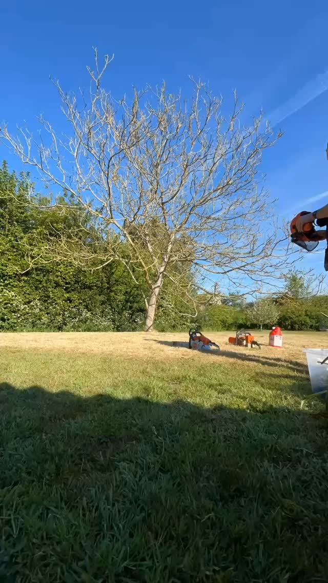 RGR forestry department (Aiken) in action today!
Walnut tree down to make way for a lovely 1 bed annexe 🏠 coming soon...
#readgardenrooms #GardenRoom #annexe #norfolk #gardenbuilding #treesurgery #timber