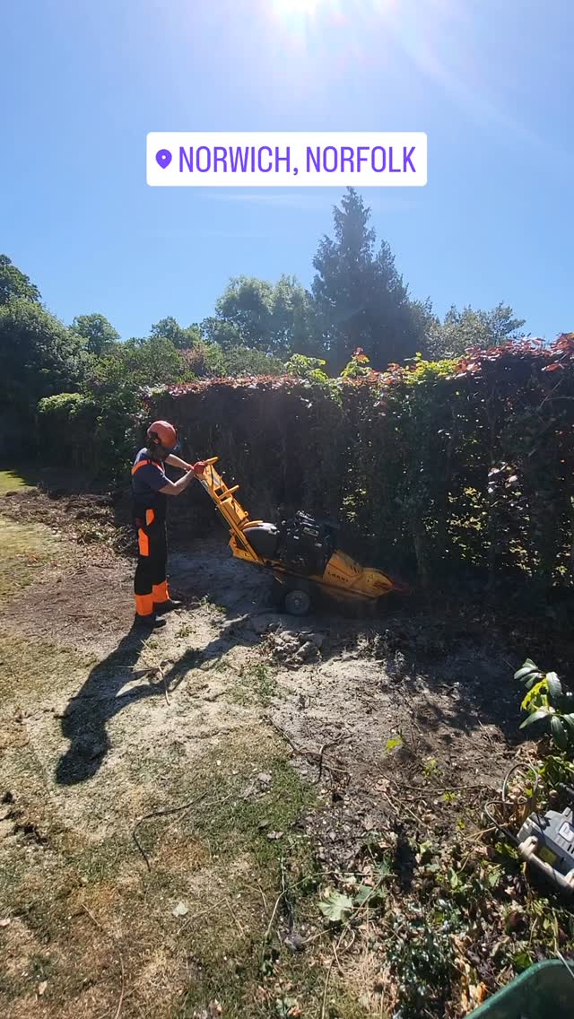 Eating tree stumps for fun!! Thanks @benburgessgroundscare for the hire
#readgardenrooms #GardenRoom #gardenrenovation #landscaping #fencing #homeimprovement #mindyourtoes
