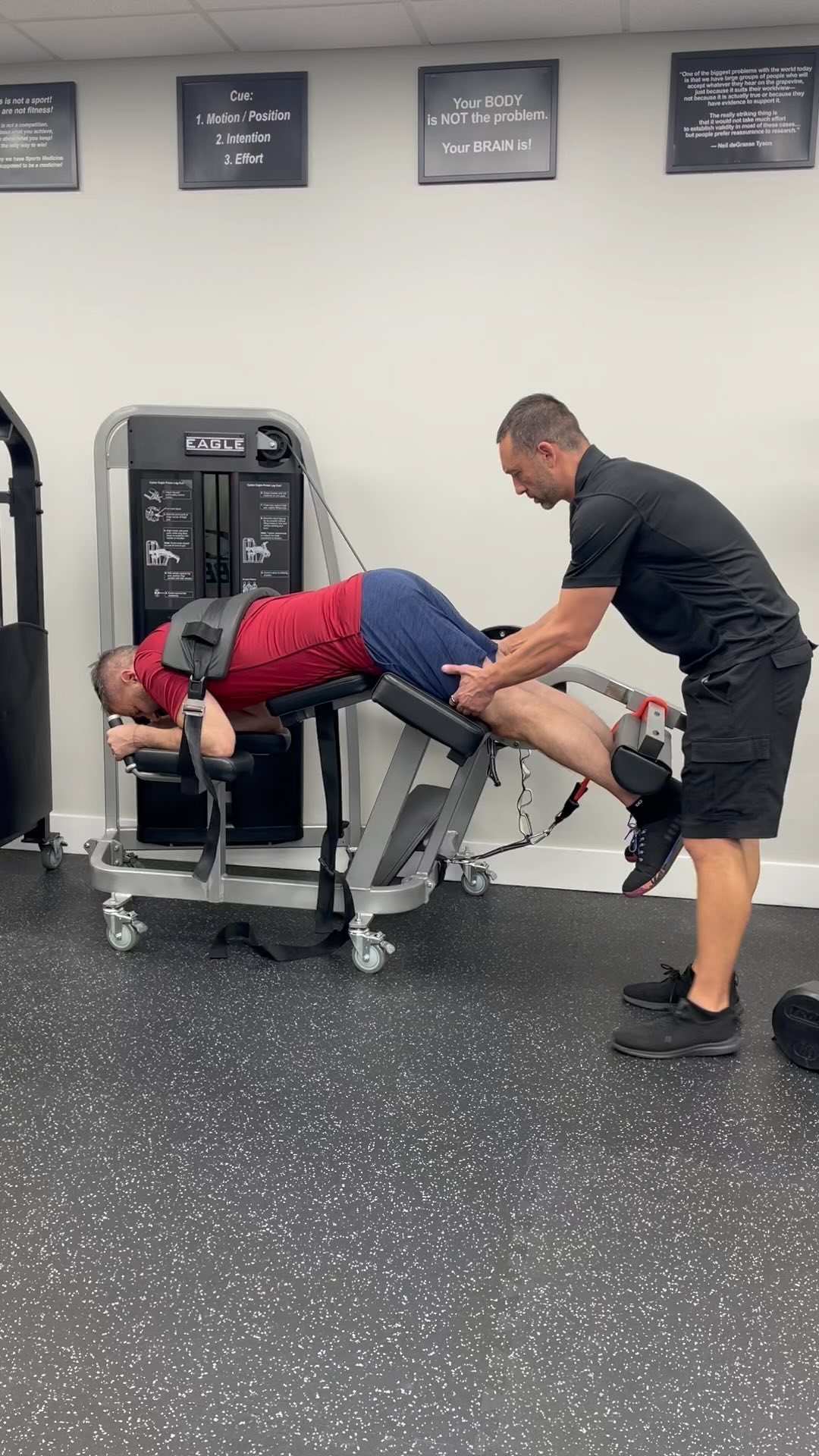 Your cueing matters. Everything is in the details. How do you instruct your clients? “Do 10 of these”, “squeeze your butt”, “up”, “down”, come on you can do it.” These are all based on memorization and range from unhelpful to wrong. We can do better as an industry, but it all starts with your desire to explore beyond what is required by organizations to simply be certified. You must create value in your client’s exercise experience. If you are a professional who is committed to and focused on evolving your understanding of exercise in order to customize the design, execution, and delivery of it
to meet the ever-changing needs and tolerances of each client/patient it’s time you take RTS. #takerts #legcurl #pronelegcurl #SVZperformance #ExperienceTheDifference #internalfocus #internalperformance #exercisemechanics #personaltraining #personaltrainer #fitness #workouts #muscle #customfitexercise #exercise #resistancetraining #supportsmallbusiness #strengthtraining #daviefl #plantationfl #sunrisefl #westonfl #coopercityfl