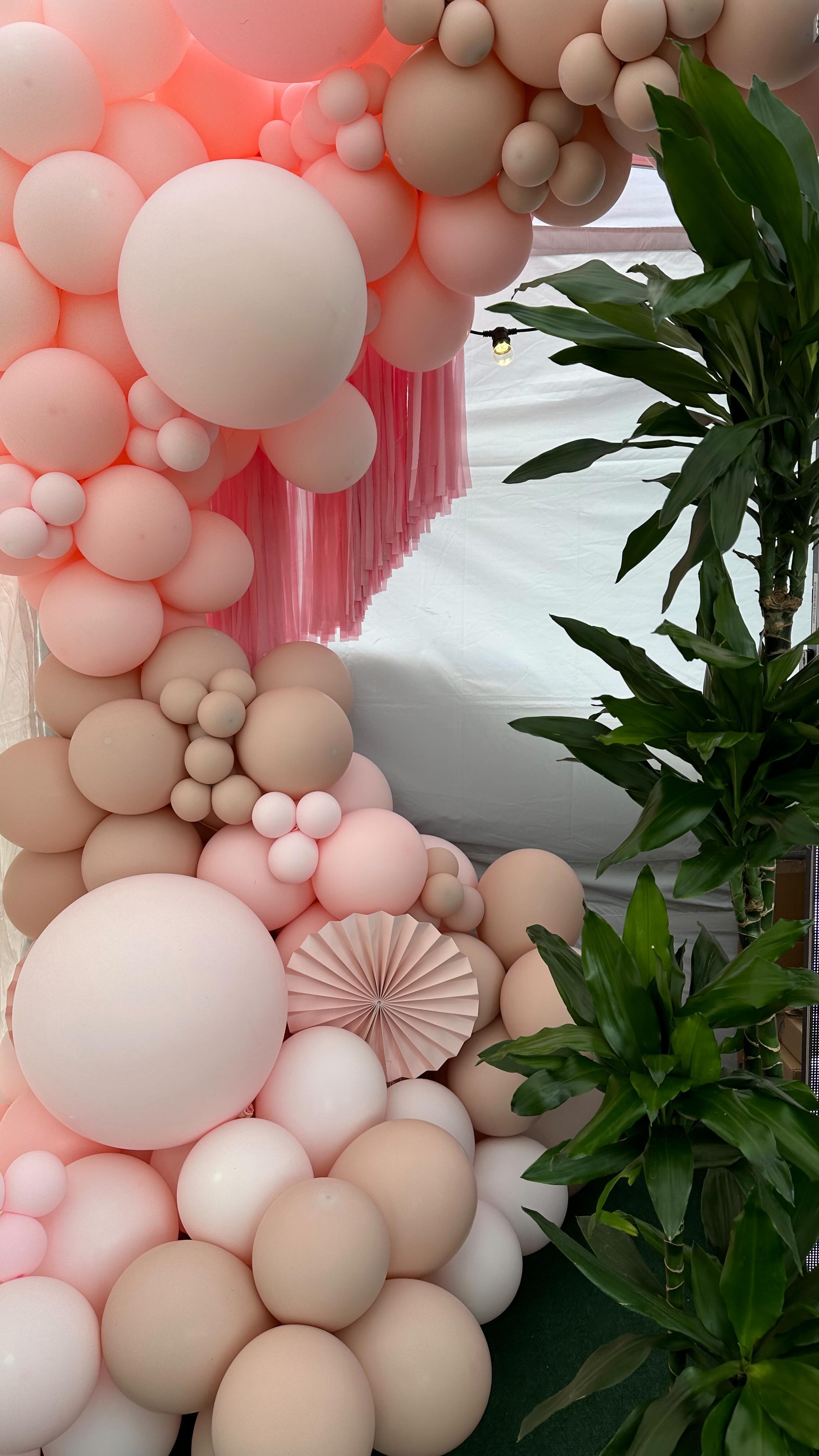 HOUSE FESTIVAL • FRIENDS TENT 🪩 @sohohouse #sohofriends
From Concept Brief to Installation worked with an incredible team throughout 🖤
Beautiful Wild Blooms Laura @charlesandfaye
Organic Balloon Garland Tasha @myonceuponateaparty
All round team support @bodrucee
Plants @light_water_plants 🪴
Garlands @kandijamsquad 🎊
Disco Balls @mirrorballsuk 🪩
@proballoonshop always coming through with our orders @tuftexballoons @sempertex 🎈
#sohohouse #sohofriends #housefestival #festivaltent #setdressing #festivalinstallation #festivallife #festivaltents #wilflowers #balloongarland #freshflowers #beautifulblooms #organicgarland #discoball #disboballs