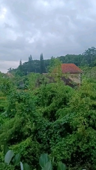 Bali soundscape. Take a moment and breathe my friends, just breathe.