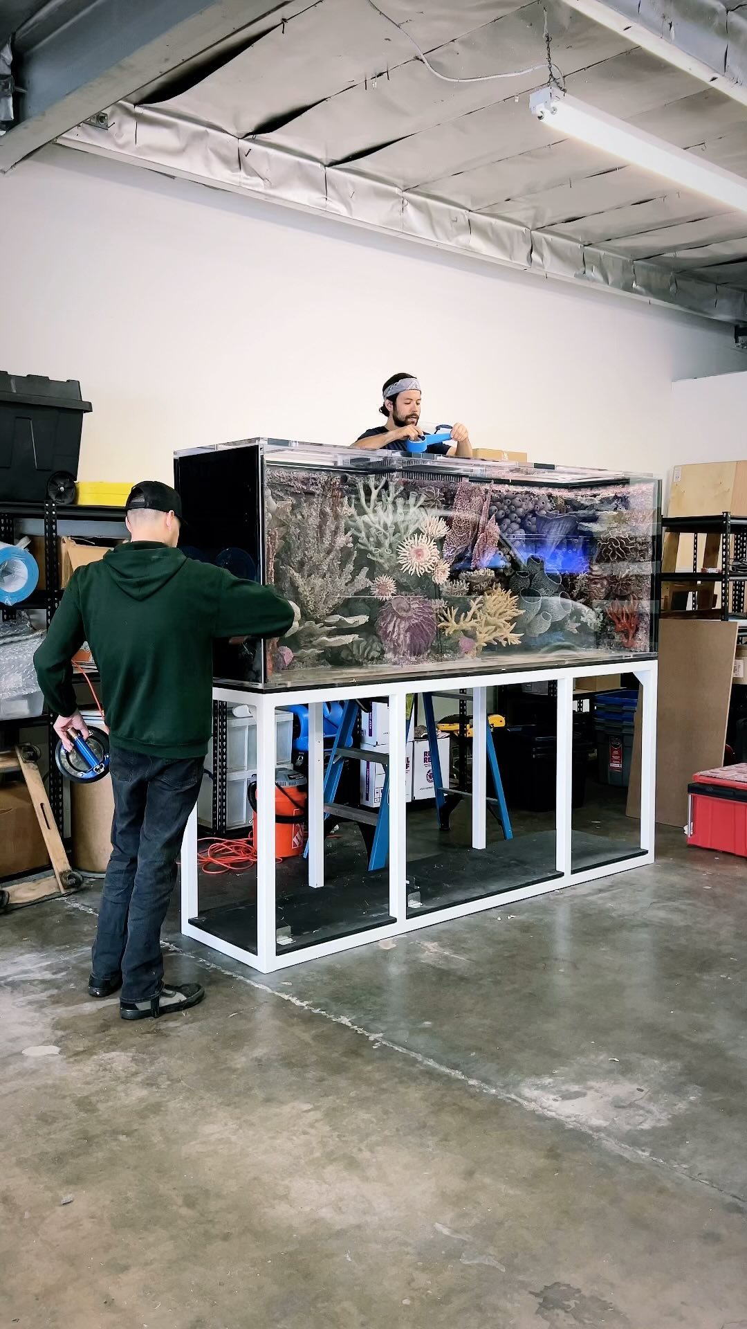A day in the life…
.
.
.
.
#customaquarium #customfishtank #oceansaquarium #oceansaquariumdesign
