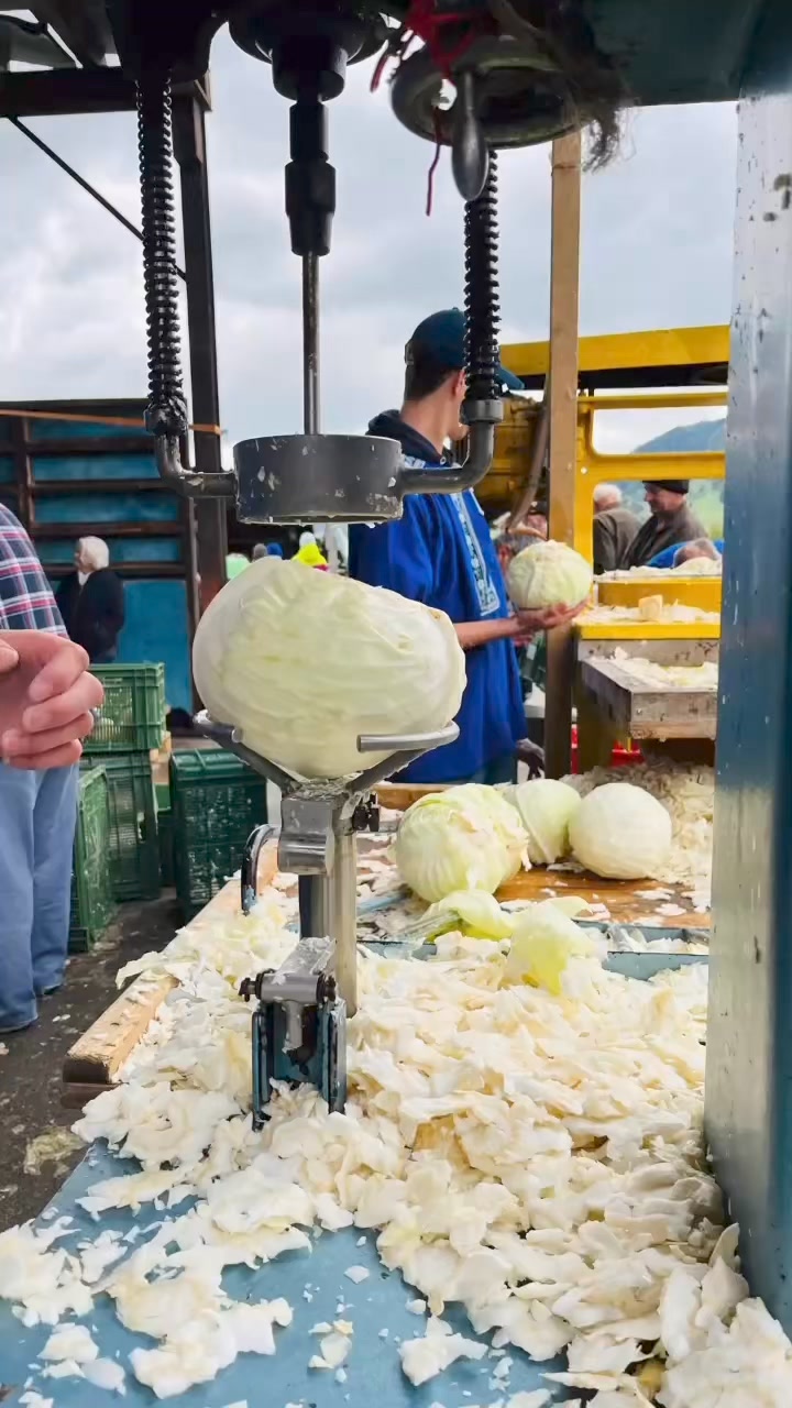 Chabishobelte Toffen! Auch diese Jahr waren wir an der Chabishoblete in Toffen und haben 120kg Sauerkraut für den Winter eingemacht!👏💪 Das Sauerkraut fermentiert nun noch eine Weile im Keller bis wir dies euch servieren dürfen!😋 Wir freuen uns! #freibankbern #WankdorfCity #chabishoblete #eatlocal #drinklocal