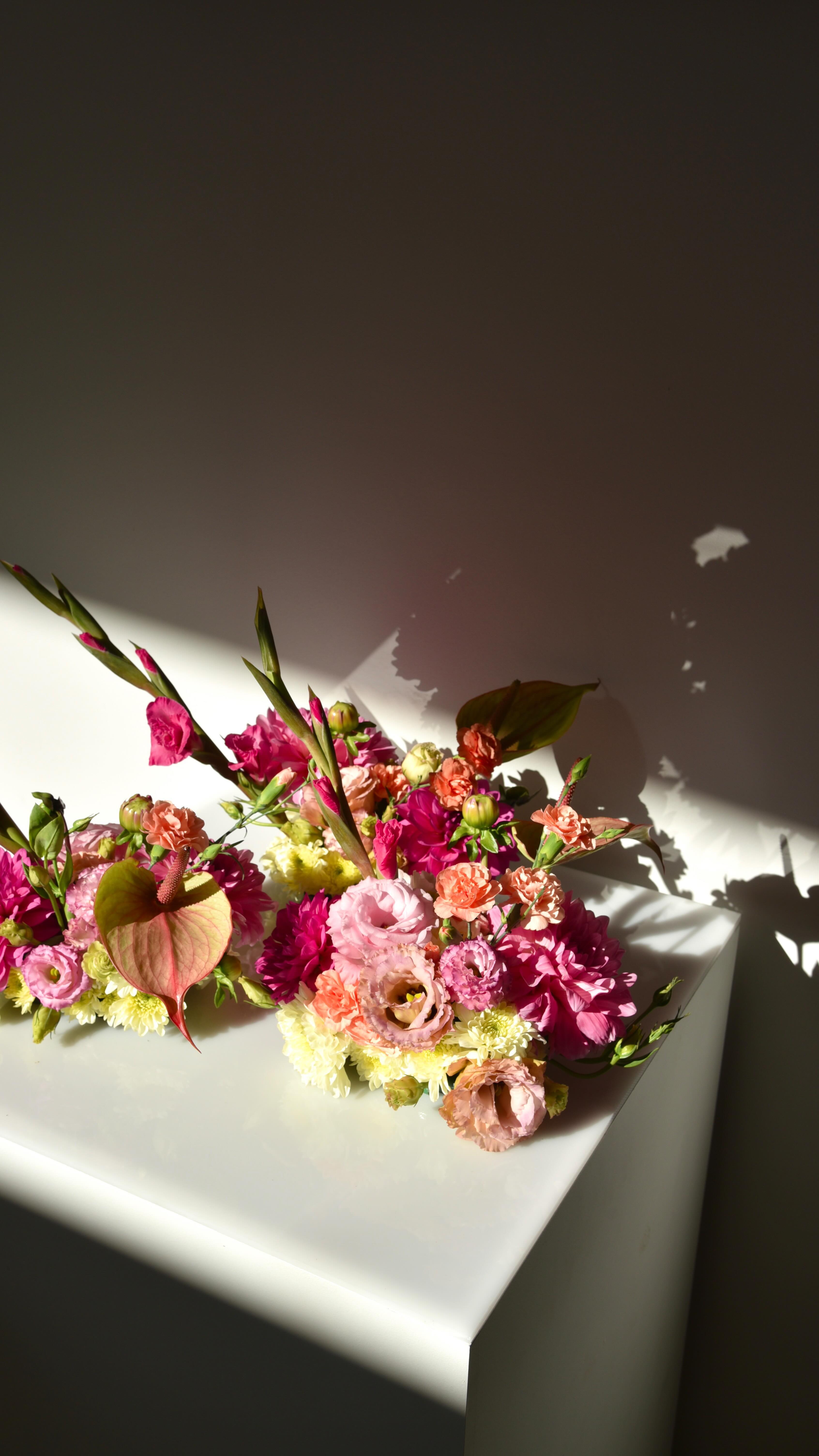 Simple pleasures 🌞