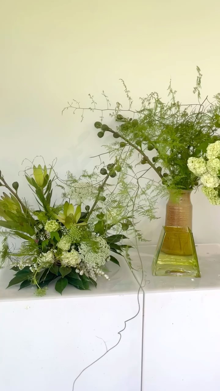 Sculptural vibes in studio for @itsfreys.co ft. the gorgeous Basil vase