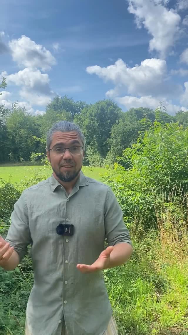 Wat is jou diamant ? Wat is het grootste cadeau dat iemand jou kan geven ? Een nog groter geheim, advies van iemand die 60 jaar getrouwd is. #verbindendecommunicatie #geweldlozecommunicatie