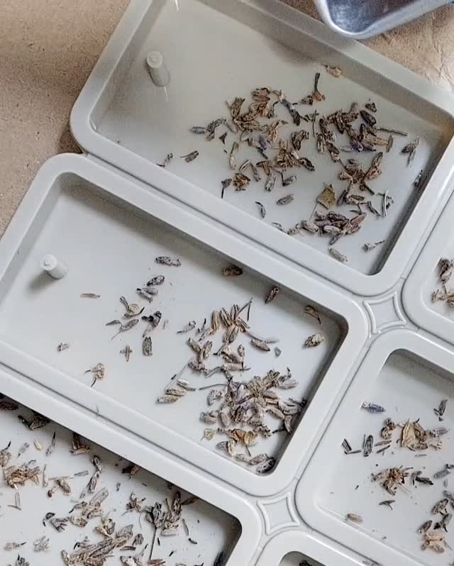 Fim de Ano já se aproxima ! Testando novos aromas e lembranças para presentear 💫.
#perfumenatural #bemestar #perfumariabotanica