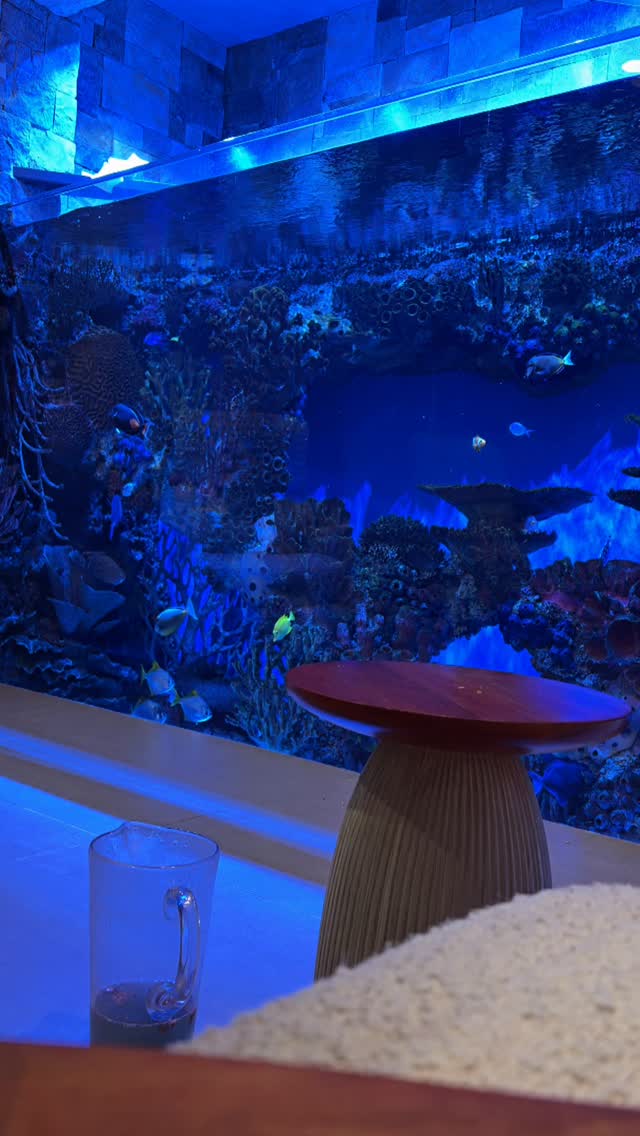 Underwater orchestra, front row seats.
.
.
.
.
#customaquarium #customfishtank #oceansaquariumdesign #customaquarium #saltwateraquarium