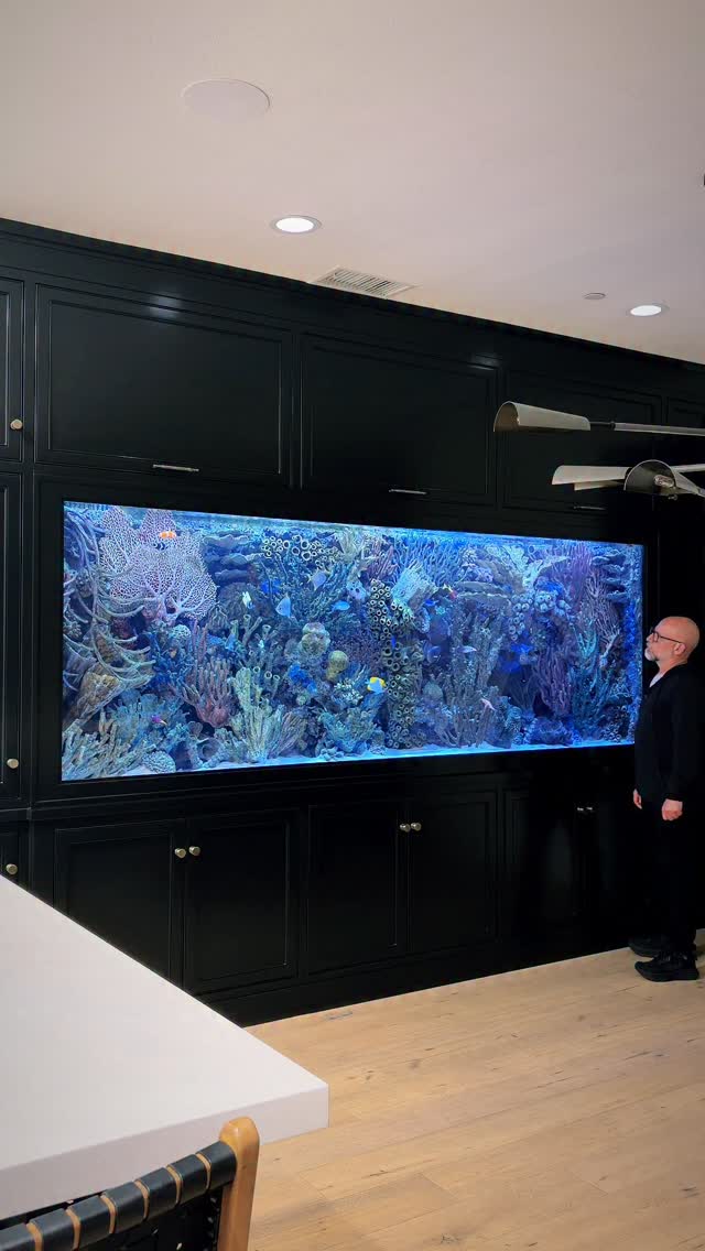 Conversation piece at home, forever.
.
.
.
.
#customaquarium #oceansaquariumdesign #oceansaquarium #aquariumdesign #luxuryspaces #saltwateraquarìum #aquariumlife #aquariumfans