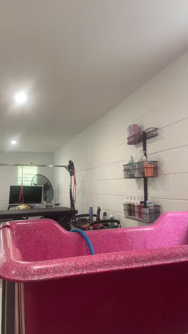 Just Stan, living his best bubble life 🛁🫧