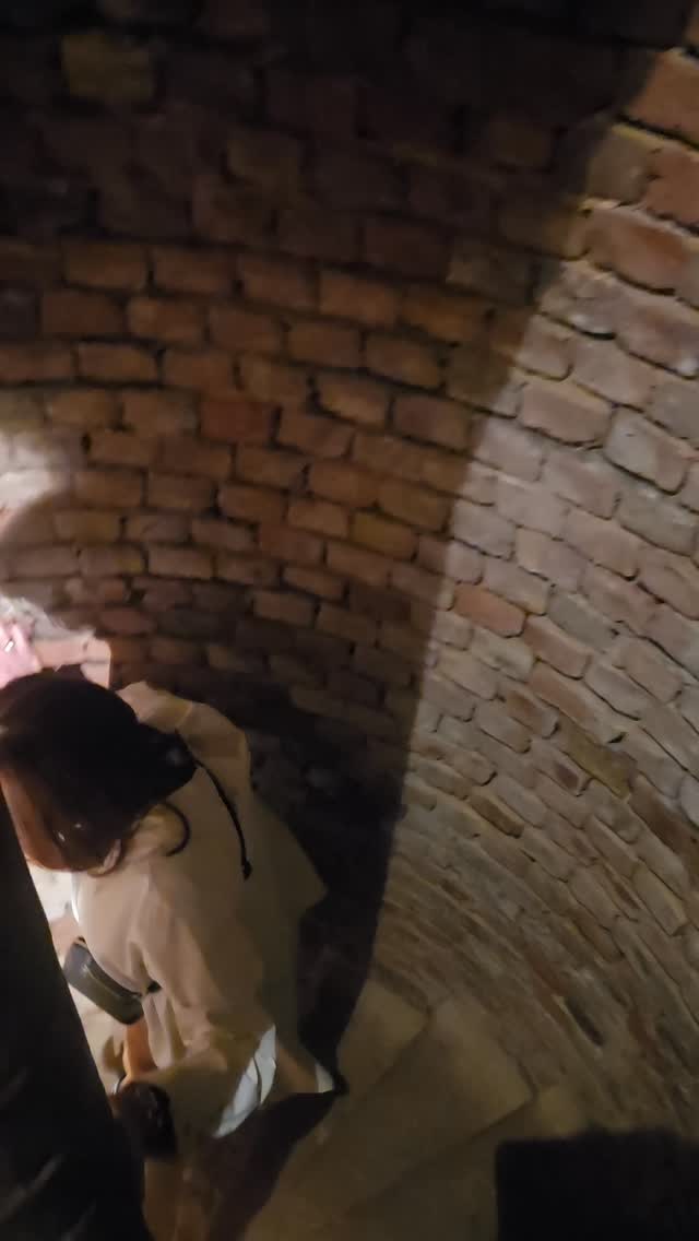 The air grew cooler and the silence deeper with every one of the 109 winding, round steps. Reaching the bottom—20 meters beneath the earth—revealed a breathtaking scene: an ancient, hidden gallery lined floor-to-ceiling with shimmering bottles of Champagne, sleeping in the darkness. The ultimate wine sanctuary.
#toursinchampagne
#tourwithlocals
#besttours #winetours #champagne #champagneexperience
#champagnelover #champagnelovers
#champagneaddict #champagne
#private #privatexperience #honeymoon #champagnesecret #champagnemoments #champagneprivateexperience #luxurychampagne #finechampagne #champagneguide #champagnelife #champagnetasting #winelover #winelovers #winetasting #wineblogger #winedestination #winetravel #winetraveler
#thechampagnewineclub #champagneluxurytrip