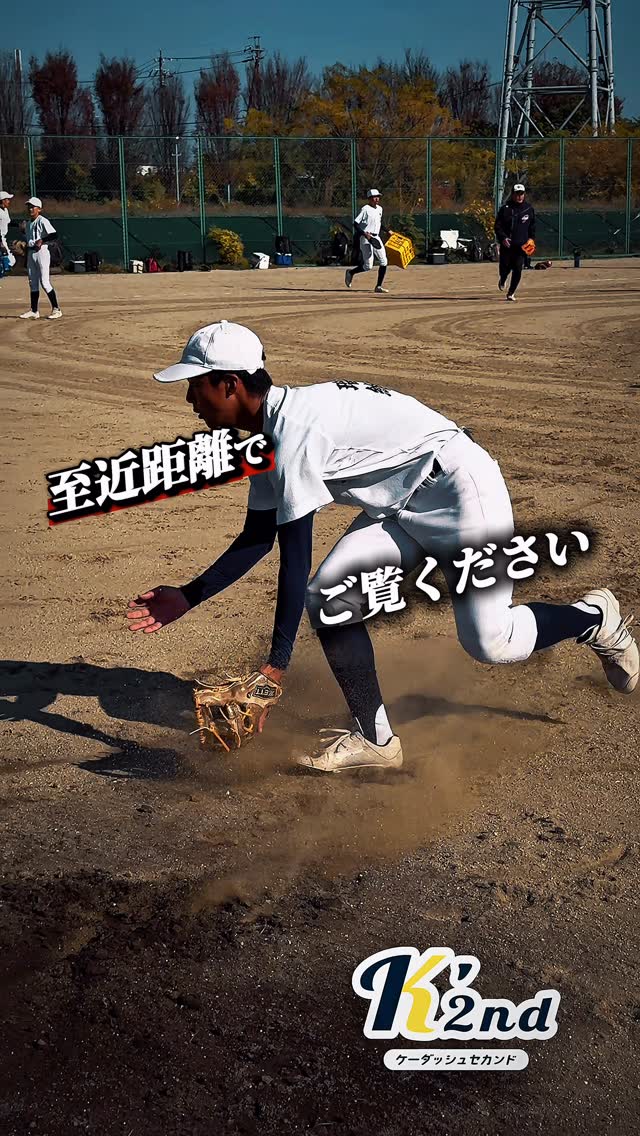 至近距離でノックの躍動感をご覧ください
#ノック