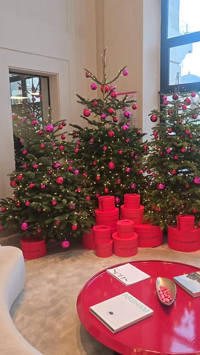 Merry Christmas from Champagne! 🥂🎄 Consider this your Champagne warning: Put the bubbles in the fridge to be on tiime to pop! 🍾✨
#toursinchampagne
#tourwithlocals
#besttours #winetours #champagne champagneexperience
champagnelover champagnelovers
champagneaddict champagne
private privatexperience honeymoon champagnesecret champagnemoments champagneprivateexperience luxurychampagne finechampagne champagneguide champagnelife champagnetasting winelover winelovers winetasting wineblogger winedestination winetravel winetraveler
thechampagnewineclub champagneluxurytrip