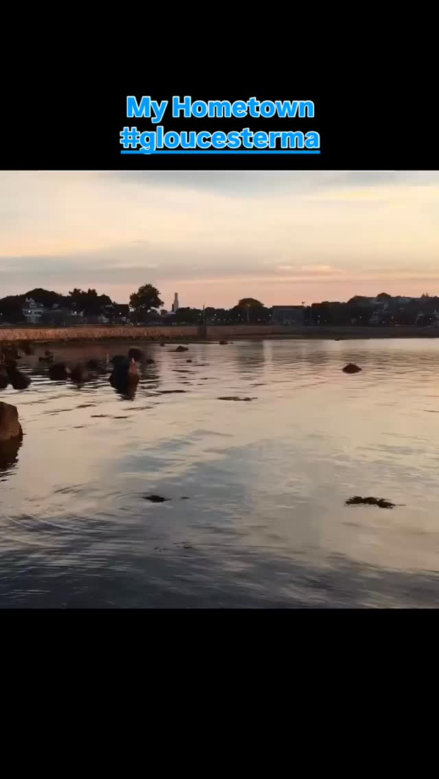 The beauty of the colors of #gloucesterma. It is why the masters painted here.