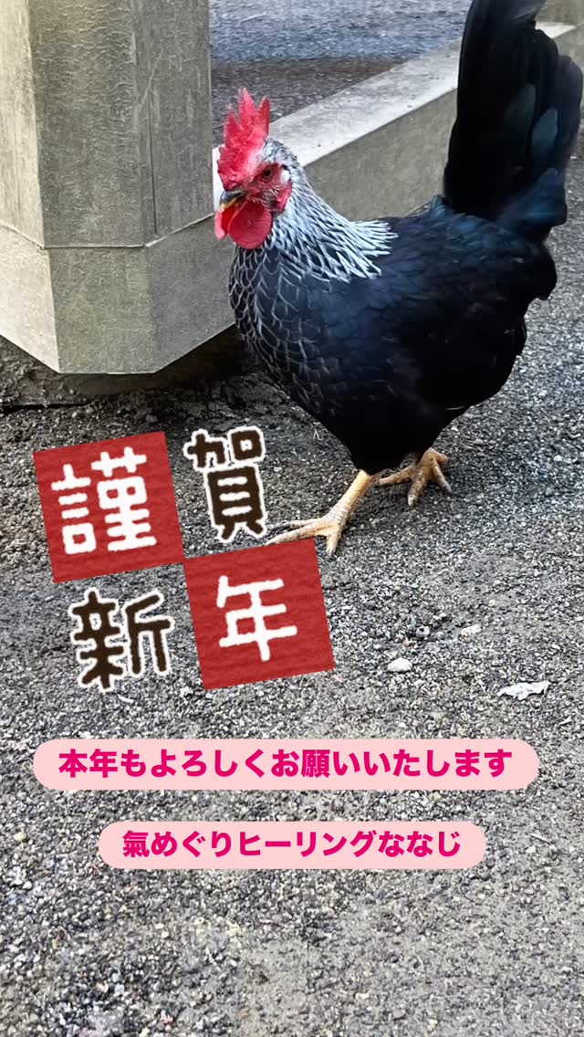 .
あけましておめでとうございます🎍
昨年は 氣めぐりヒーリング ななじ と
ご縁をつないでくださり、
本当にありがとうございました😊
2026年、
これまで大切にしてきた
「心」と「氣」に加えて、
もう一歩、現実の感覚へ——
日々の身体にも
やさしく届く形を
丁寧に育てていきます🌿
変わる部分も、変わらない想いも。
どちらも大切にしながら。
本年もよろしくお願いいたします🙏✨
#干支を一切踏まえず大崎八幡宮の鶏ちゃんの画像でお届けしています
#氣めぐりヒーリングななじ
#レイキヒーリング
#美生氣功ヒーリング
#レイキ伝授仙台