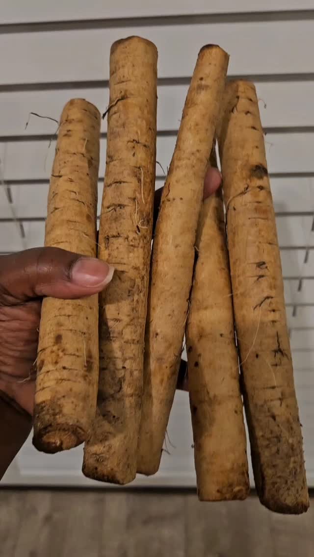 Discover the amazing benefits of burdock root! 🌿 This incredible plant is known for its amazing detoxifying properties, helping your body cleanse itself naturally. It's also packed with antioxidants to keep you feeling your best and it supports healthy skin. Plus, it's great for digestion and boosts your immune system. Give your body some love with the power of burdock root! ✨ ONLY THE BEST INGREDIENTS ARE USED IN OUR PRODUCTS #BurdockRoot #NaturalHealth #Detox #Antioxidants #HealthyLiving
www.seamossbosshealth.com