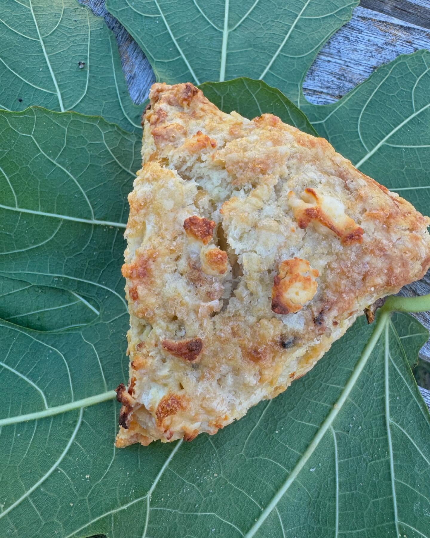 WEEKEND SPECIAL!
Savory scones packed with roasted figs (from our tree!) caramelized onions and goat cheese crumbles.
#cayucosca #bijoubakery #centralcoastcabakery #cayucosbakery #slocounty #805foodie