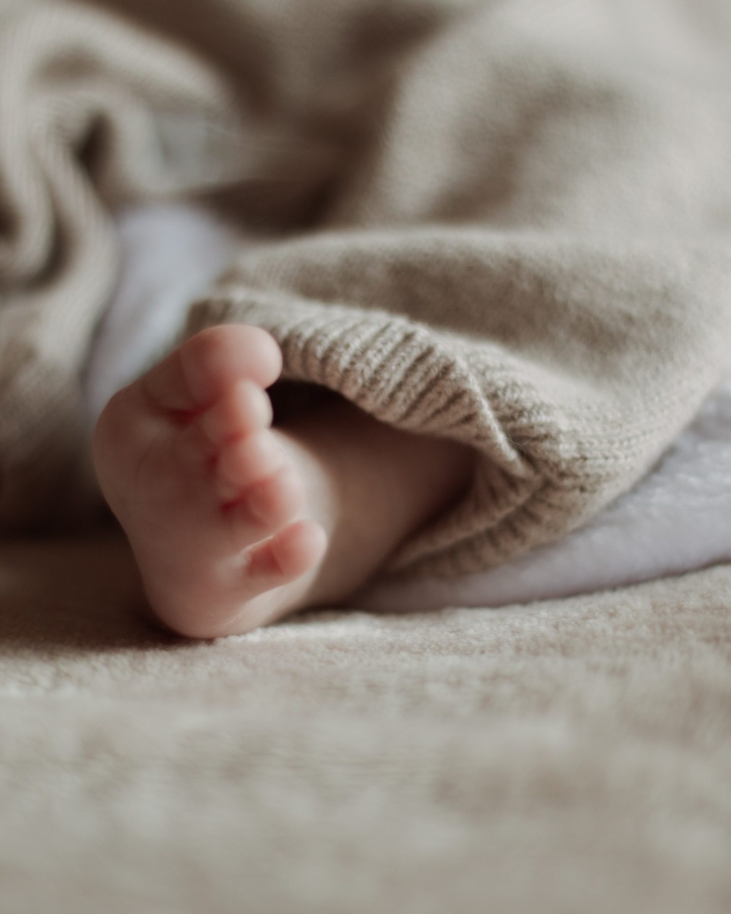 De petits pieds pour découvrir son grand univers ✨🫶🏻
.
.
.
#shootingnaissance
#shootingnaissancetoulouse
#naissancetoulouse
#shootingnouveauné