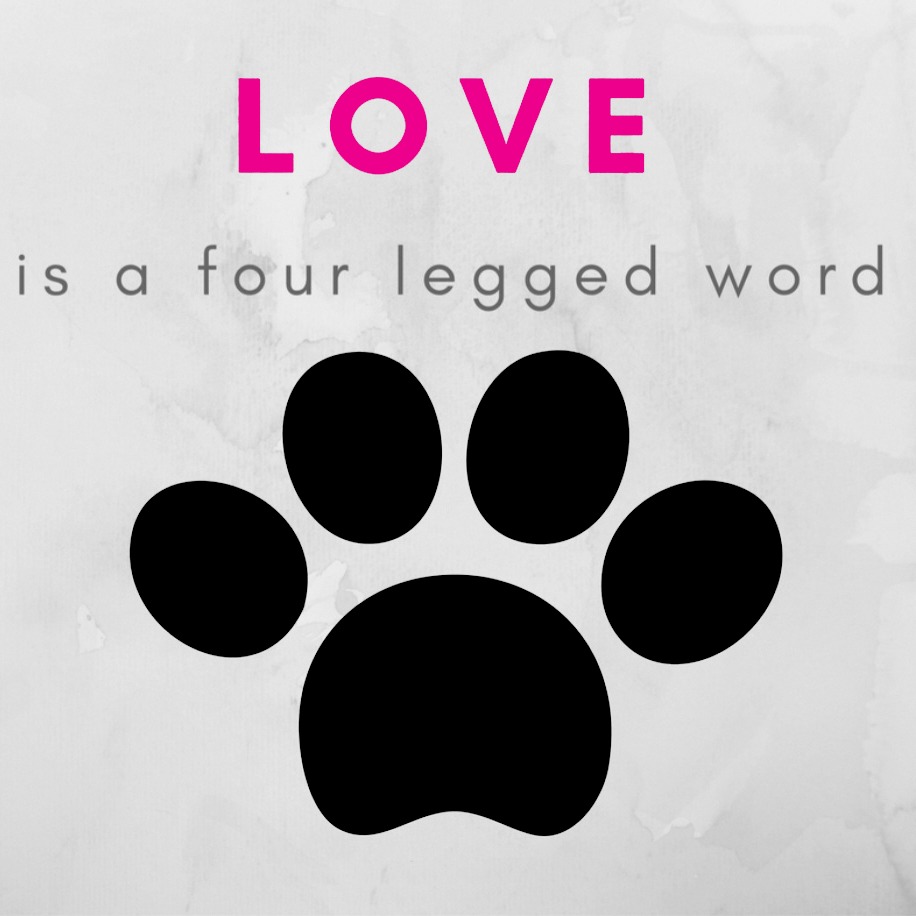 Your dog will never wake up one day and decide he doesn't love you anymore!