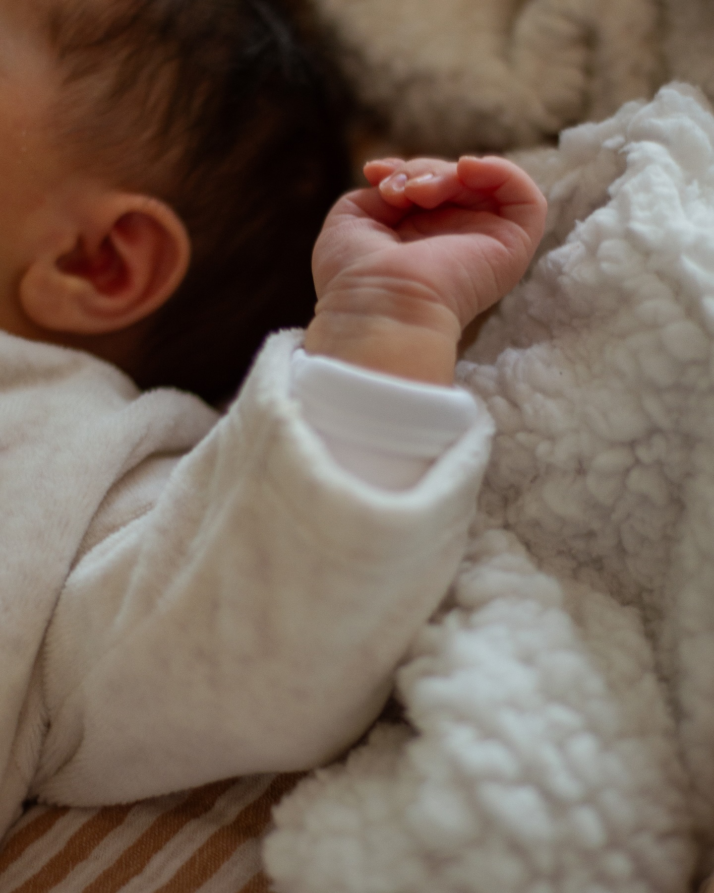 Shooting naissance de la belle Zoé 🫶🏻
.
.
.
#shootingnaissance
#shootingnaissancetoulouse
#naissancetoulouse