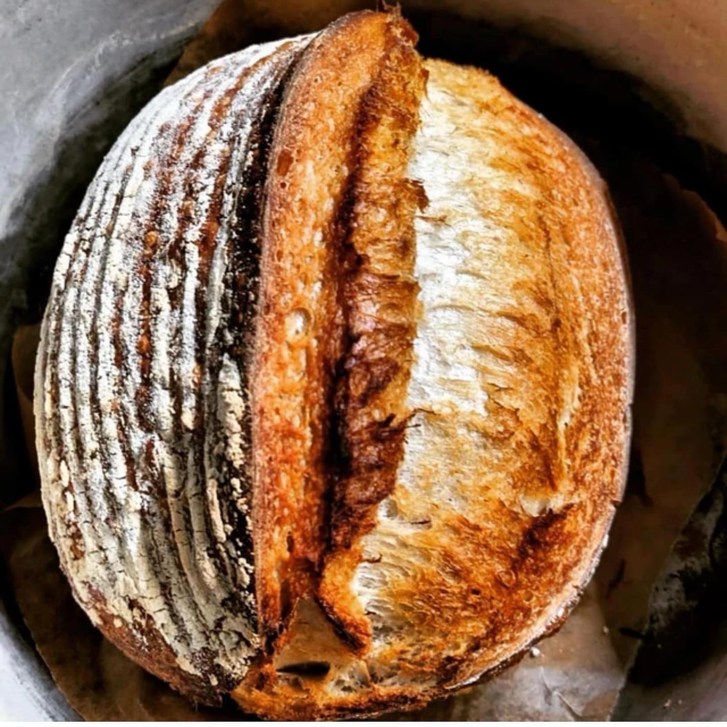 Freshly Baked Bread will be on the menu THIS Sunday @sheriffhuttonvillagemarket! Here’s some of our past loaves and on the stall this weekend we will have our homemade Sourdoughs (White and Wholemeal), Foccacias (Wild Garlic and Cheese, Bacon and Brie, Rosemary and Sea Salt) and a new addition - Cheese and Wild Garlic Scones!
A perfect base to serve our Parfait with and our Ham Hock Terrine. Pop on down from 1030 to say hello and enjoy some freshly made, seasonal produce!
#market #bread #baker #chef #food #sourdough #foccacia #scones #cheese #wildgarlic #seasonal