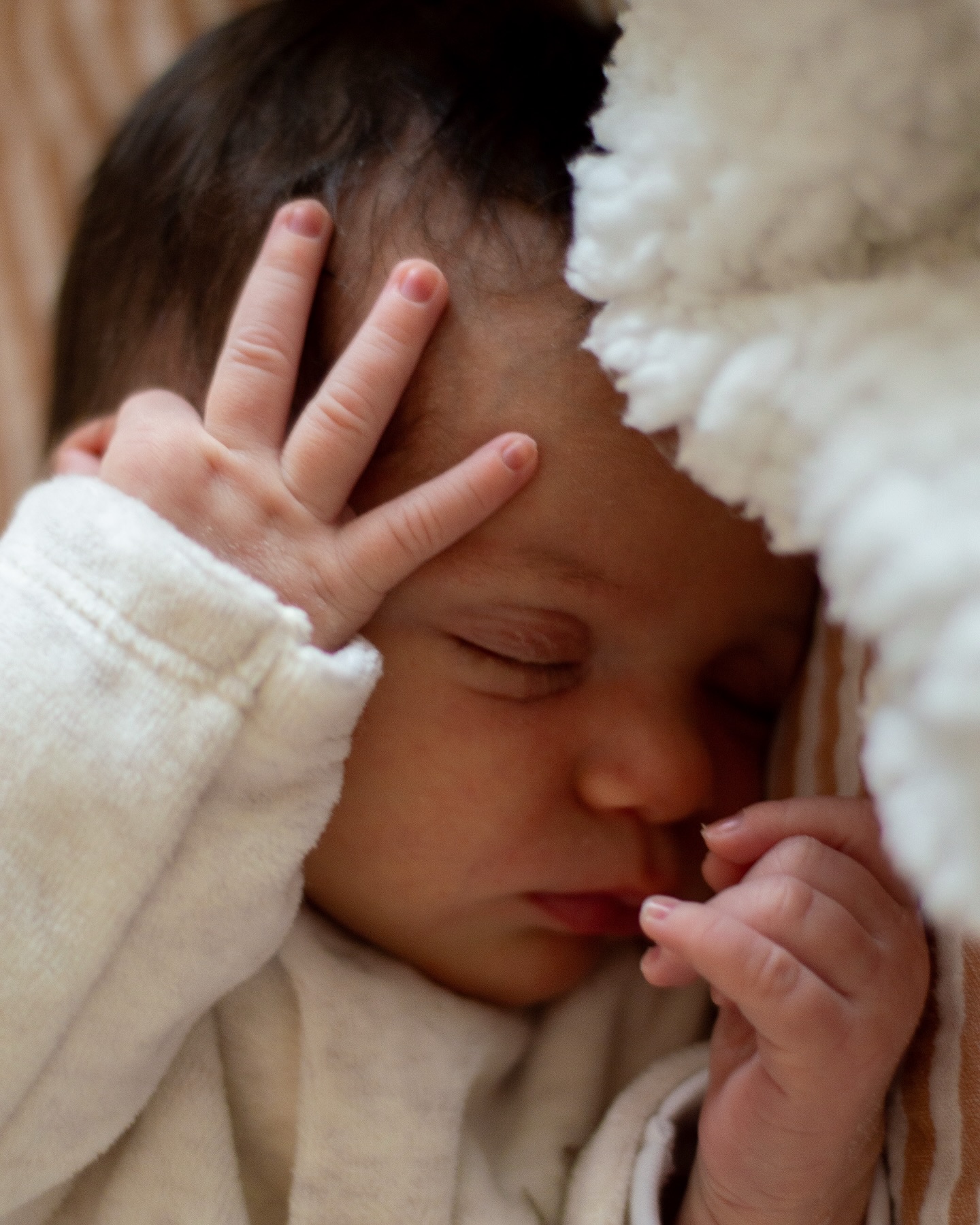 De doux rêves 💭🐑
.
.
.
#shootingnaissance
#shootingnaissancetoulouse
#naissancetoulouse