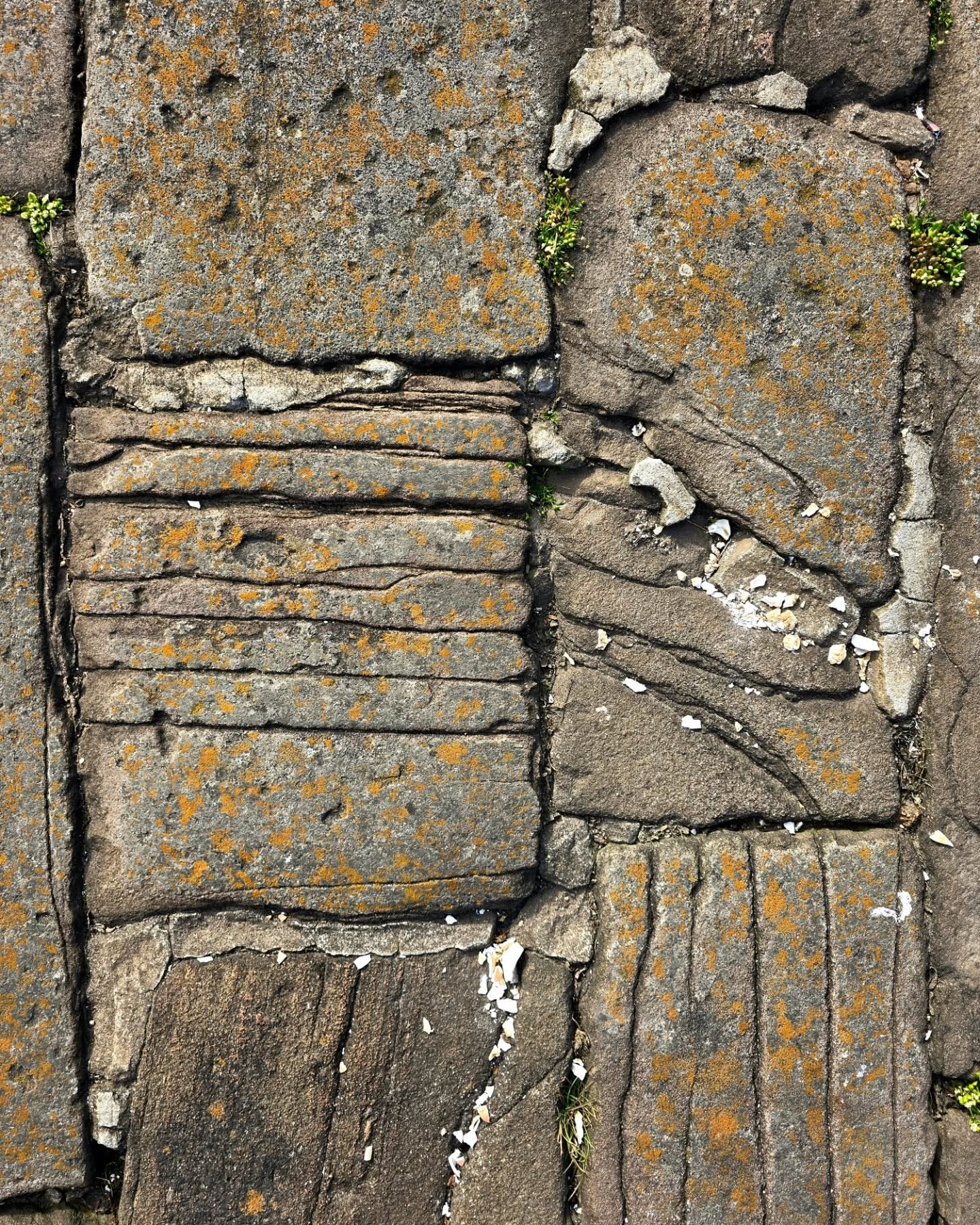 I'm down teaching with @mearnsartanddesign this week as part of my ongoing NHS Grampian project - after school today I took a wee jaunt over to Johnshaven, what a lovely place, I can't believe I waited so long to visit! Here's a few colours/textures that caught my eye ❤️
.
.
.
.
.
.
#johnshaven #harbour #stone #texture #coast #aberdeenshire