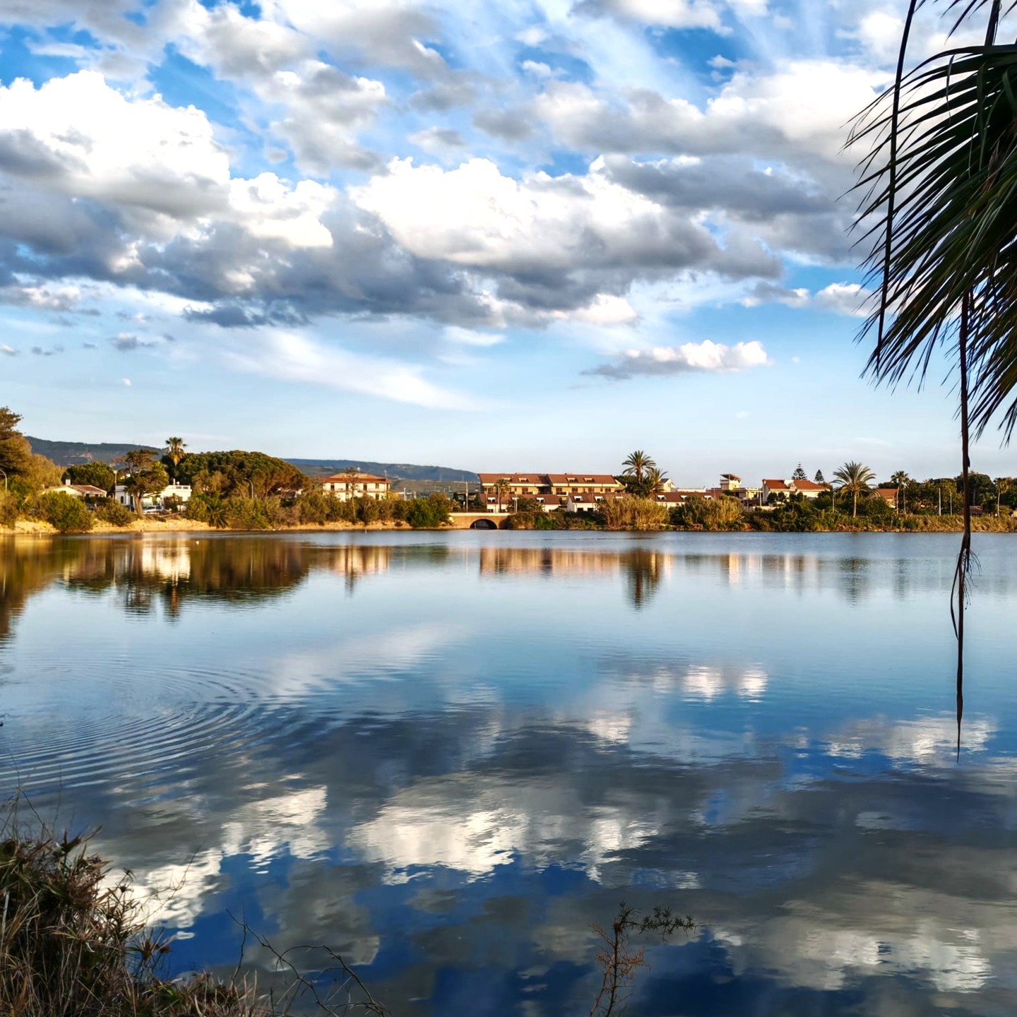 Where sky and water become one in perfect stillness.
In the distance, the mountains of Calabria quietly rise beyond the Strait.
🌊 Capo Peloro is harmony, beauty, and everyday wonder
📍 Lake Ganzirri
|
Ph. by @rocaf91
|
#capopeloro #visitcapopeloro #ganzirri #messina #visitmessina #sicily #visitsicily #mediterraneanlife