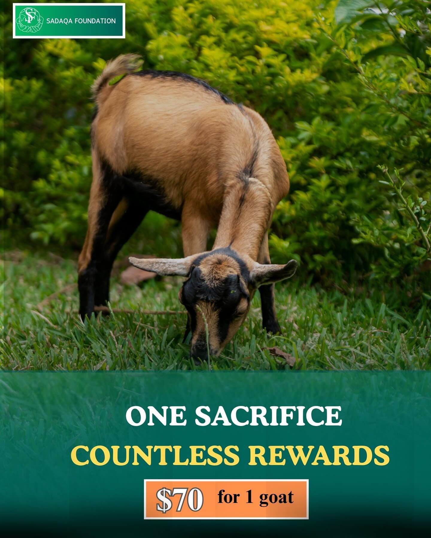 Follow the Legacy of Prophet Ibrahim (AS) !
When Prophet Ibrahim (AS) was called to sacrifice his beloved son, he submitted wholeheartedly — a powerful symbol of faith and obedience that we continue to honor every Eid al-Adha.
This Dhul Hijjah, Sadaqa Foundation is raising $70 to sacrifice 1 goat and feed families in the IFO refugee camp, where many go months without the taste of meat.
Even the smallest donation can help us reach this goal.
Whether you give a little or a lot, your support brings us closer to feeding those in need.
👉 Click the link in our bio to donate.
#EidAlAdha #ProphetIbrahim #SadaqaFoundation #Qurbani2025 #IFORefugeeCamp #GiveHope #FeedTheHungry #SmallDonationBigImpact #OneGoatOneFamily