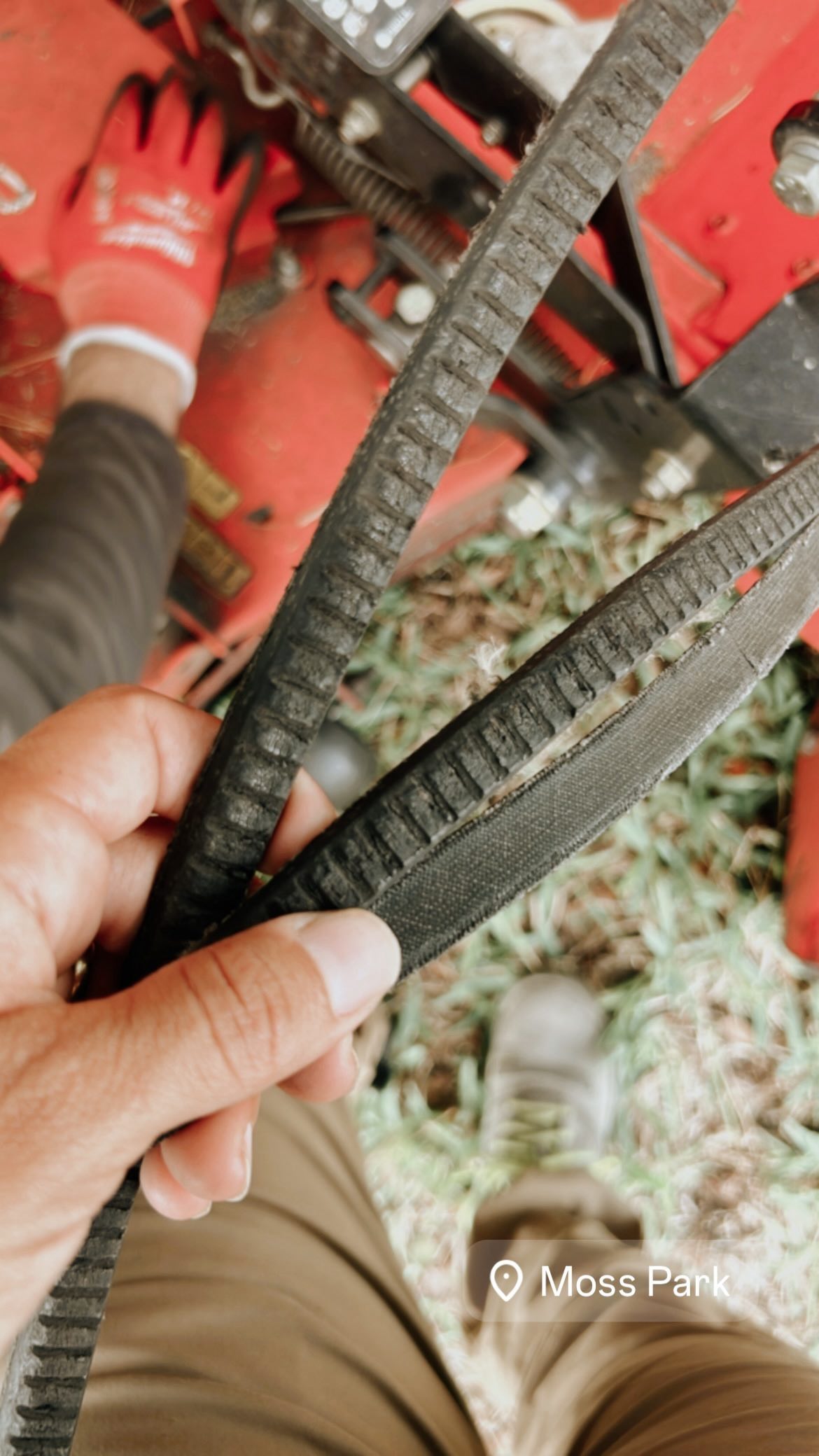 🦾🧑🏻🌾
#lawncare#lawnmaintenance#lawncareservice#lawncareservices#orlandofl#orlandoflorida