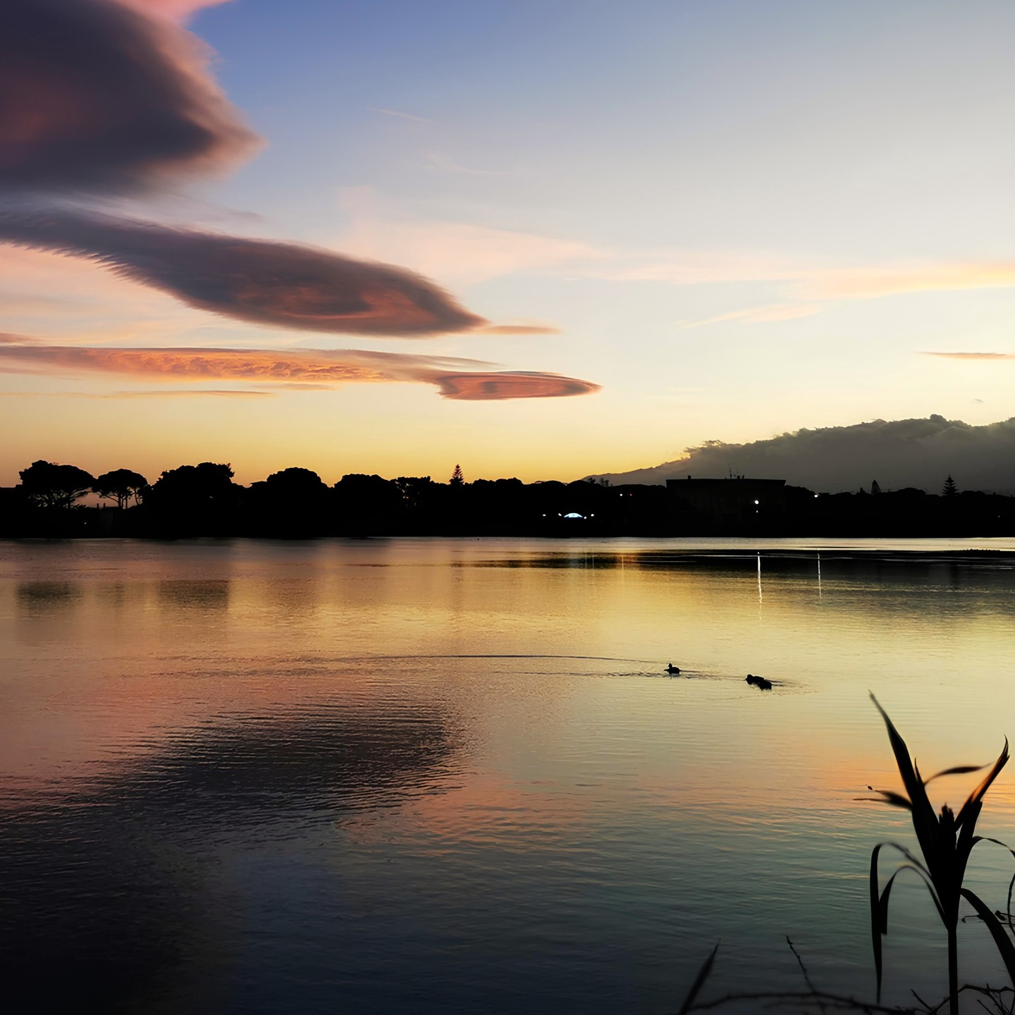 Not a filter. Just Capo Peloro Lagoon at the right time.
.
.
.
📸 @VisitCapoPeloro | © Edited visual from original by @rocaf91 – Ask before reuse.
.
.
.
#CapoPeloro #VisitCapoPeloro #TorreFaro #Ganzirri #GanzirriLake #NaturalReserve #Messina #VisitMessina #Sicily #VisitSicily #MediterraneanLife #Sunset#SicilianLandscape
.
.
Content protected under EU copyright law.