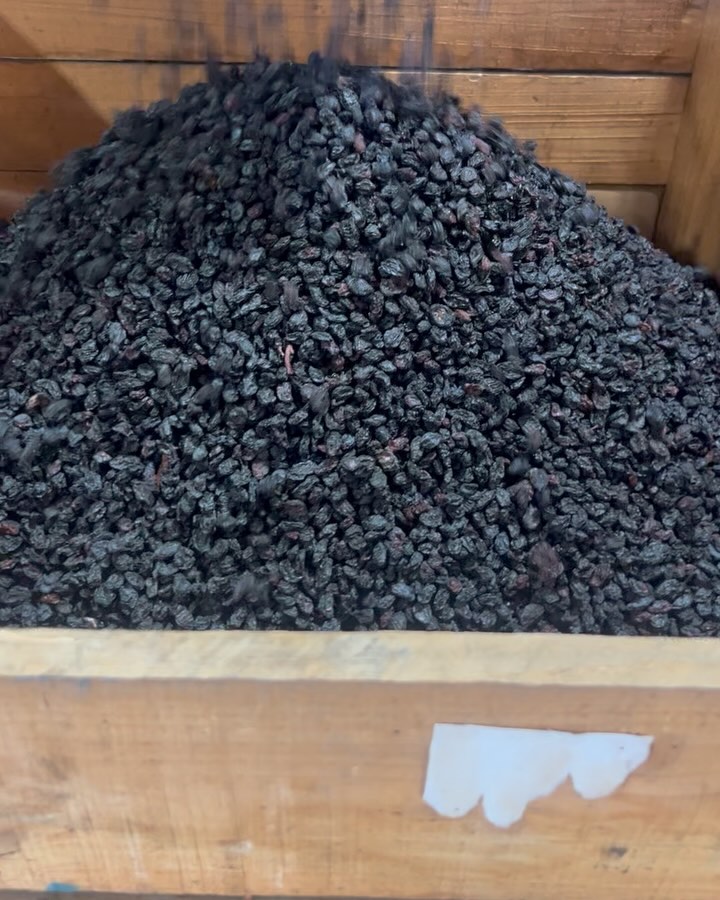 Black raisins
