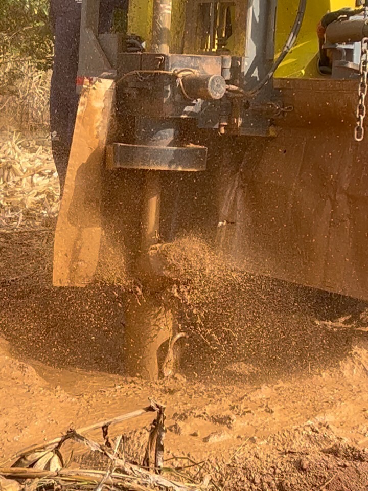 Resumo de um mês bem produtivo!!!!