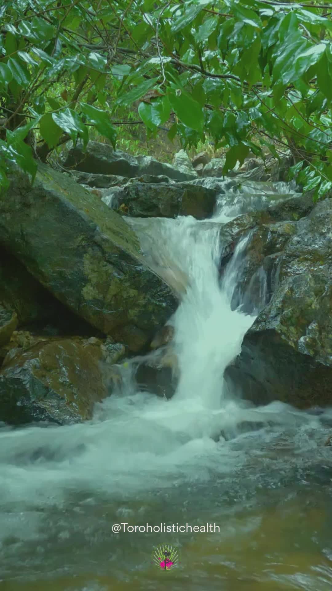 You may have heard that fasting is:
❌ Starving
❌ Only for weight loss
❌ Bad for women
❌ Rigid and all about willpower
And honestly?
That’s because most fasting advice wasn’t designed for women.
But when done gently — in sync with your hormonal cycle — fasting can help you:
🌿 Maintain blood sugar
🌿 Balance your mood and hormones
🌿 Alleviate inflammation and bloating
🌿 Support sleep and feel more energized
✨ Fasting doesn’t have to feel harsh.
It can feel nurturing, intuitive, and supportive.
That’s the heart of MoonWise — our 6-month holistic journey that teaches women how to fast with their bodies, not against them.
🌙 “Your journey starts here. Join the waitlist and take the first step toward a deeper connection with your body.”
💛 You deserve a rhythm that feels like home.
#MoonWise #FastingForWomen #GentleReset #HormonalHealth #WomenWellness