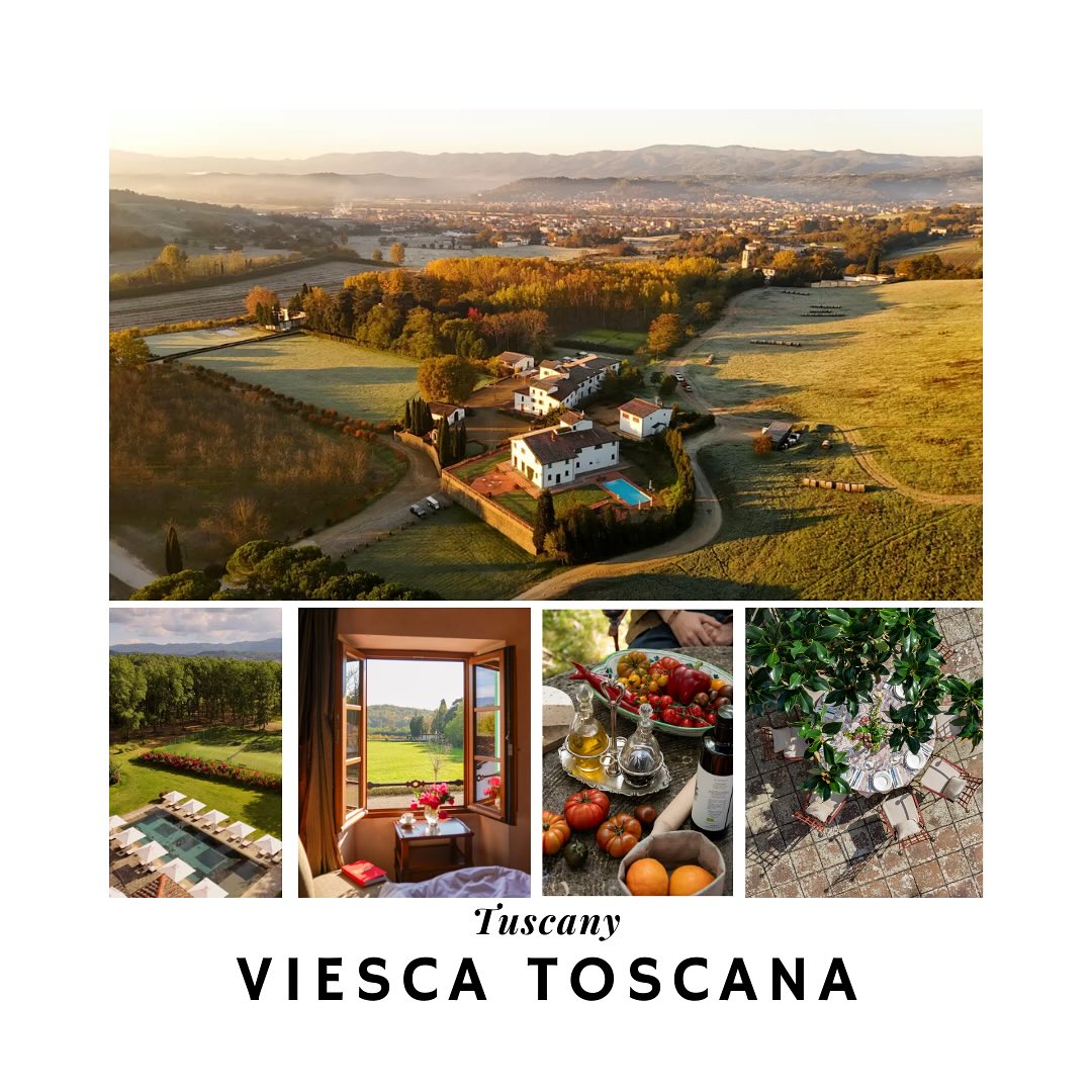 If I could go anywhere this week…..
I’d head to Viesca Toscana in Tuscany.
Why?
The resort offers amazing authentic truffle hunting experiences and cooking classes based on traditional Tuscan recipes…… visits to medieval villages and immersive wine tasting…
But…..
Right now, I would definitely go solely to sit by that beautiful pool and finish a few books ….
It’s also part of Small Luxury Hotels- I love that collection. These properties are consistently classy but welcoming, and have a personality along with high end touches.
@smallluxuryhotels @viescatoscana @mjl_select
#tuscanyhotel #tuscany #virtuosotravel #virtuosotraveladvisor #virtuosoadvisor #tuscany #tuscanygram #poolside #poolsidevibes #slowtravel #smallluxuryhotels #smallluxuryhotelsoftheworld #tuscanretreat #underthetuscansun