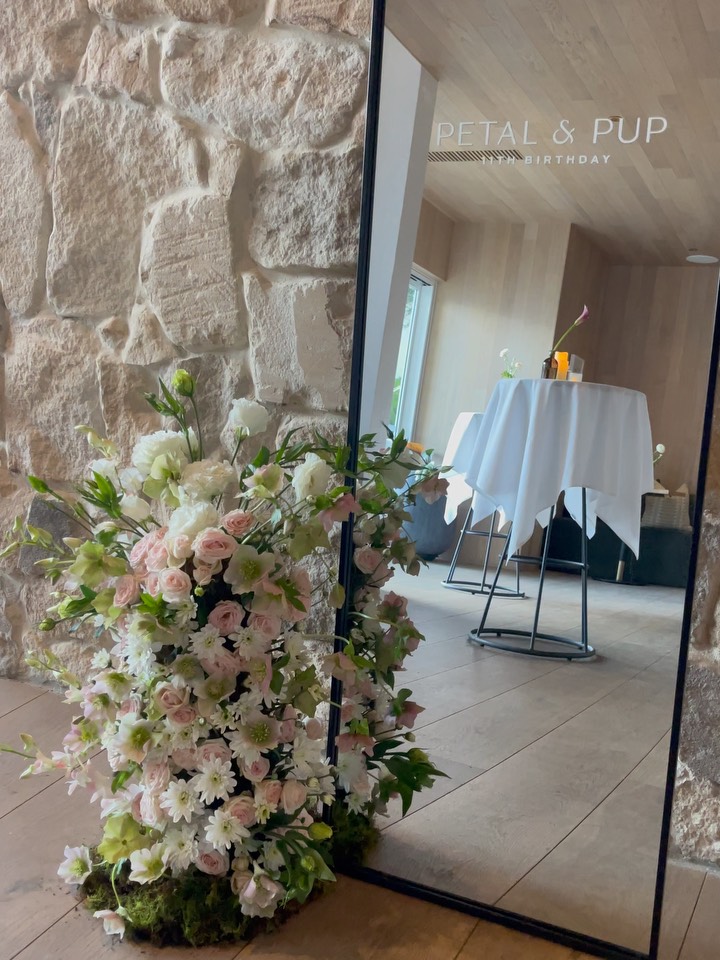 Celebrating 11 years of @petalandpup