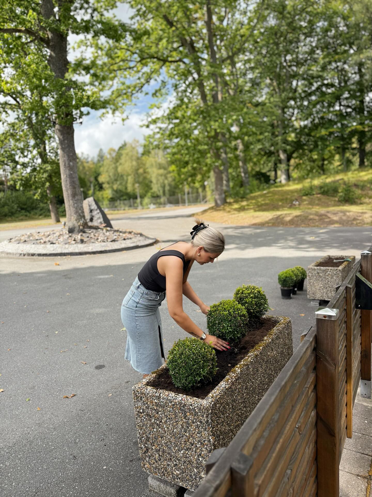 Hög tid att göra fint i parken med endast 17 dagar tills vi drar igång höstsäsongen! 🫶🏼🍃
@matzbladhs 21/9 kl. 17:00-21:00 - Välkomna!