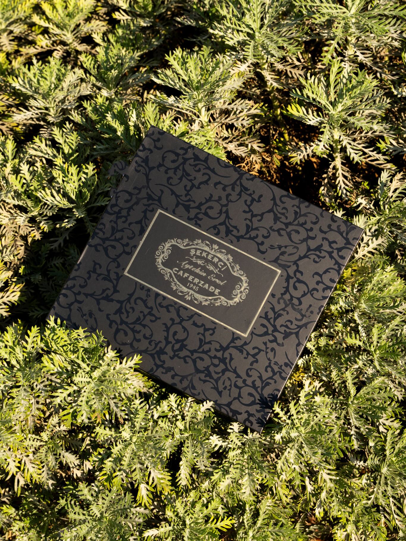 Zarif detaylar, özenli sunum, kusursuz tatlar Şekerci Caferzade’de.🌟
📍Üsküdar Merkez İmalat
📍Üsküdar Balıkçılar Çarşısı
📍Kadıköy Balıkçılar Çarşısı
#ŞekerciCaferzade #Üsküdar #Kadıköy