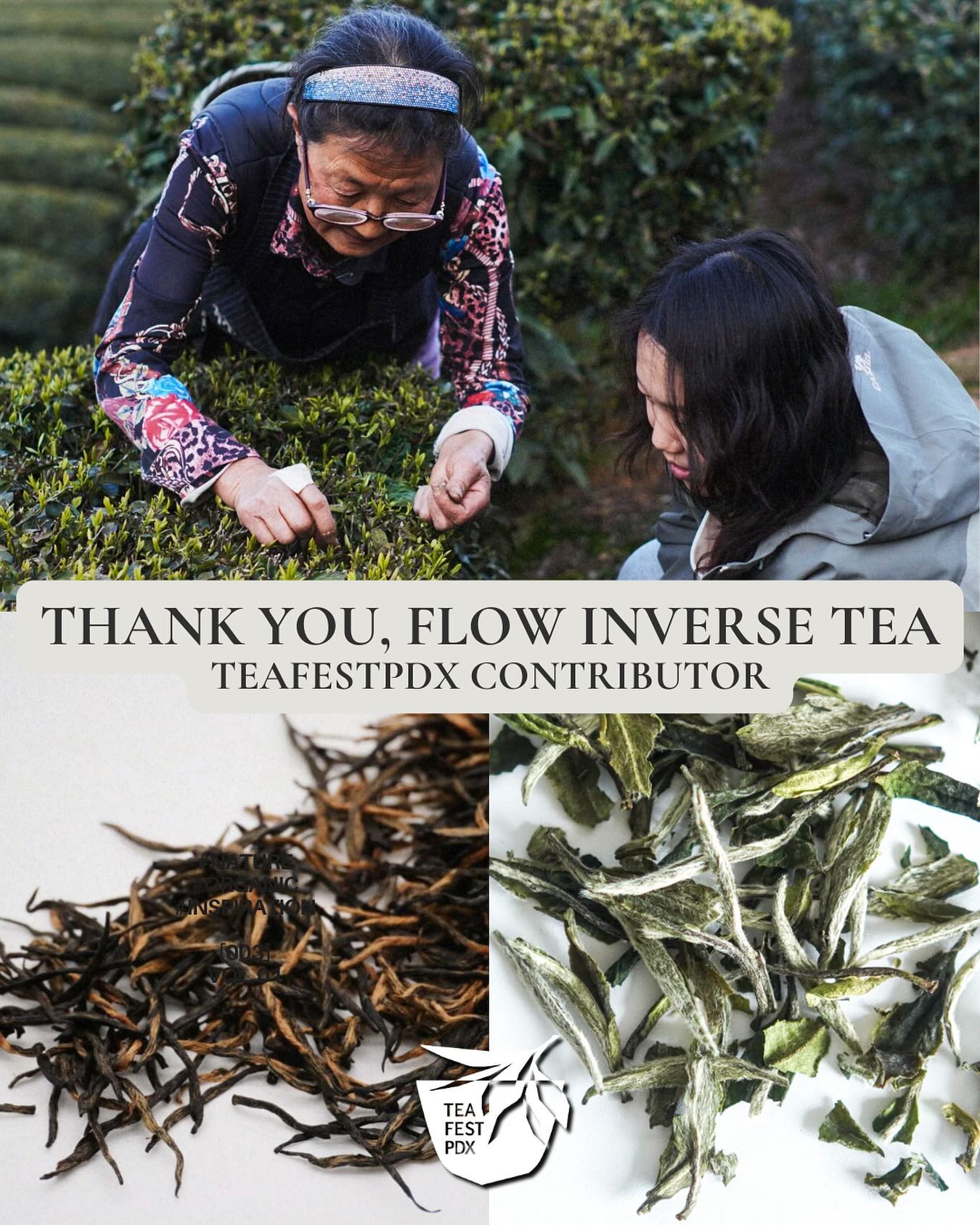 We want to give a special thank you to @itsflowinversetea as a contributor to TeaFestPDX 2025. Flow Inverse Tea is a living story of land, community, and care. Grown at 1,100 meters in Enshi’s selenium-rich soil, their teas are cultivated with respect for tradition and ecology. Cows plow the fields, weeds are pulled by hand, and biodiversity is nurtured, no pesticides, no shortcuts. At its heart, Flow Inverse is a cooperative. Local villagers, elders, volunteers, and a retired farmer work side by side, sharing both the labor and the benefit. Profits flow back into the village, sustaining not just the land, but the people who call it home. You can learn more about their co-op farm and teas at flowinversetea.com. ✨🌱
#tea #enshi #teafestival #portland #pdx #teafestpdx #tealife #chinesetea #teaculture