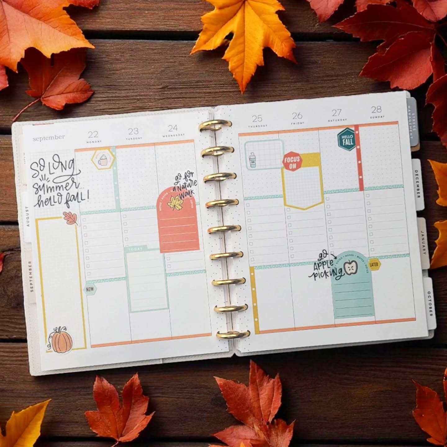 The first day of fall is right around the corner! 🙌
What are you most looking forward to? Going apple picking? Visiting the pumpkin patch? Watching football? Enjoying a bonfire with friends? Let me know in the comments below.
.
#afterthepen #plannerspread #weeklyspread #plannercommunity #planwithme #plannerlove #ilovemyhappyplanner #happyplanning #thehappyplanner #iamahappyplanner #planneraddict #stickeraddict #plannerobsessed #plannerlife #planahappylife #planyourweek #plannernerds #plannerstickers #happyplannerinspiration #checklistlayout