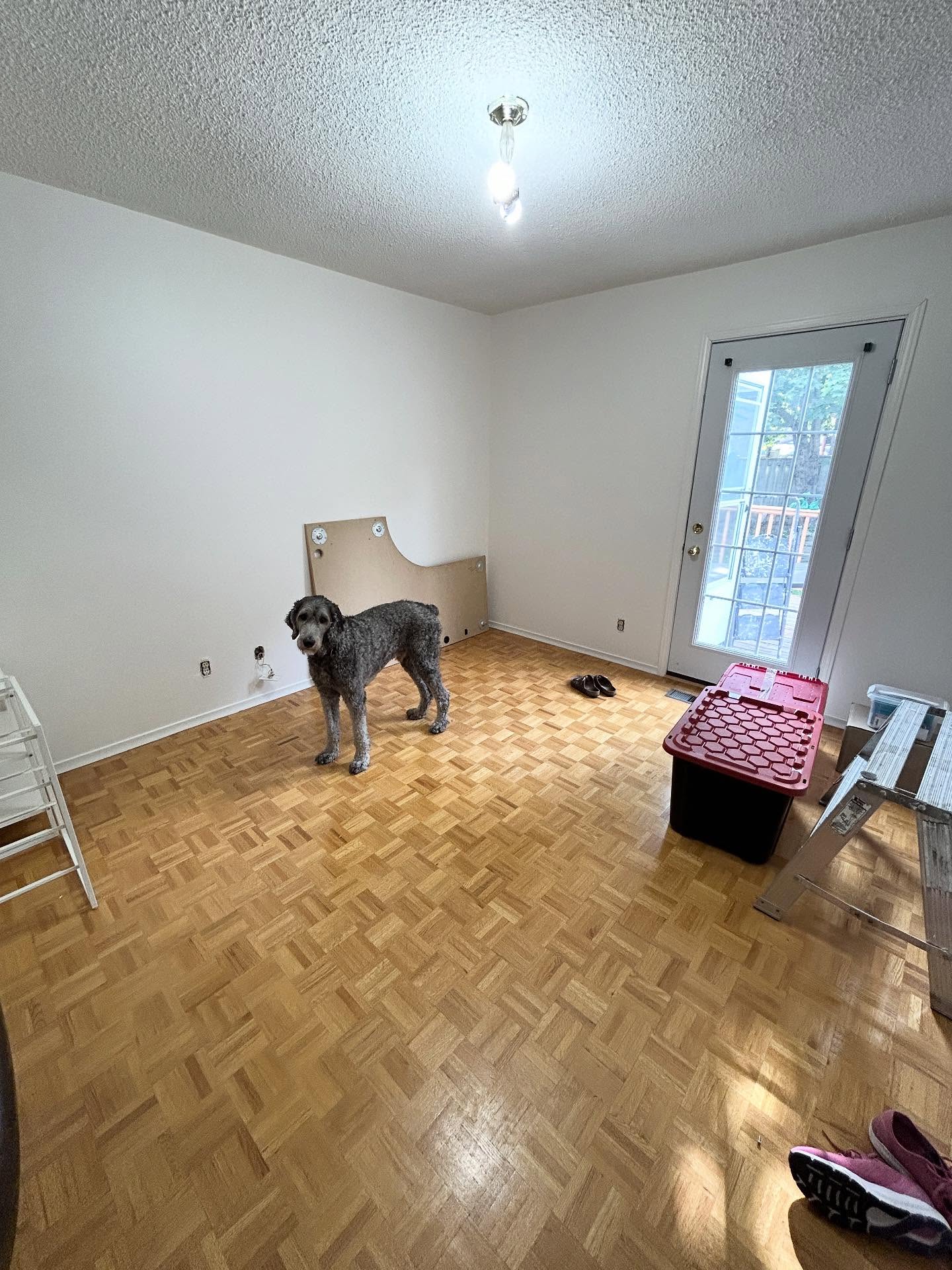 Oh, hello there! It has been a while! Welcome to my new studio space. I am so excited to get back to this little art business after taking a break to go back to school. This past spring I officially finished the program and graduated with honours and was awarded The Founders Cup for Excellence. It was a crazy whirlwind three years and I took the summer to unwind, relax, and do some light renovations.
Now I’m ready to get back into it and scratch that creative itch that I’ve been ignoring for too long. Here’s to bigger and better!
- Megan
Ps. Bruce says hi too! 🐶