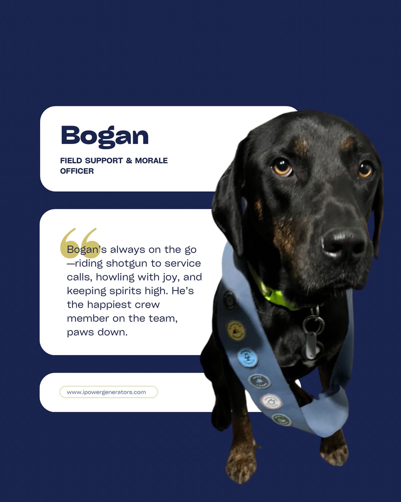 From service calls to spirit-lifting, he keeps the team running strong (and smiling even stronger).
#WorkDog #MoraleBooster #ShopDog #TeamSpirit #GeneratorCrew