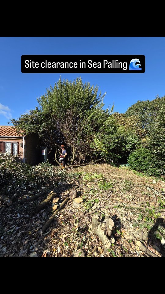 It went roughly in this order...
Chain sawing, chipping, stump grinding, find a surprise well (fill it in), digging, find another well (don't fill that one in its full of water 💦), rake it level, fill the skip, repair a power cable (thanks Rus⚡️), put some fresh shingle down, tidy up, get home!
Busy week, wet and muddy to finish, but the first phase of this project is complete and we're ready for the groundscrews next week 🔩 Back in November to start the garden room and decking.
#readgardenrooms #gardenroom #gardenbuildings #siteclearance #landscaping #decking #homeimprovment #reno #norfolk #seapalling
