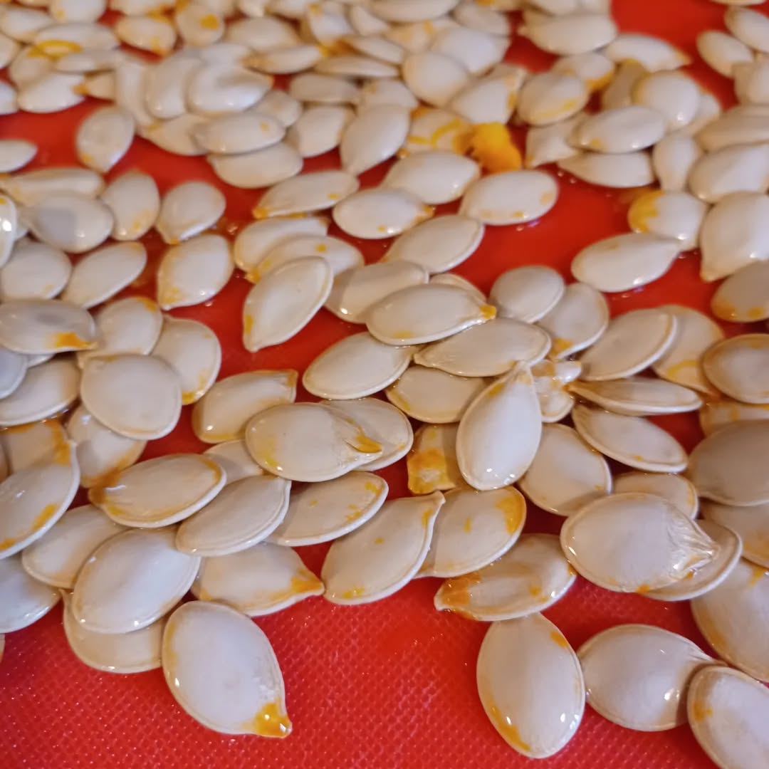 Autumn's harvest has filled the house with old-time aromas and small, familiar comforts. #autmn🍁 #harvest #homecooking