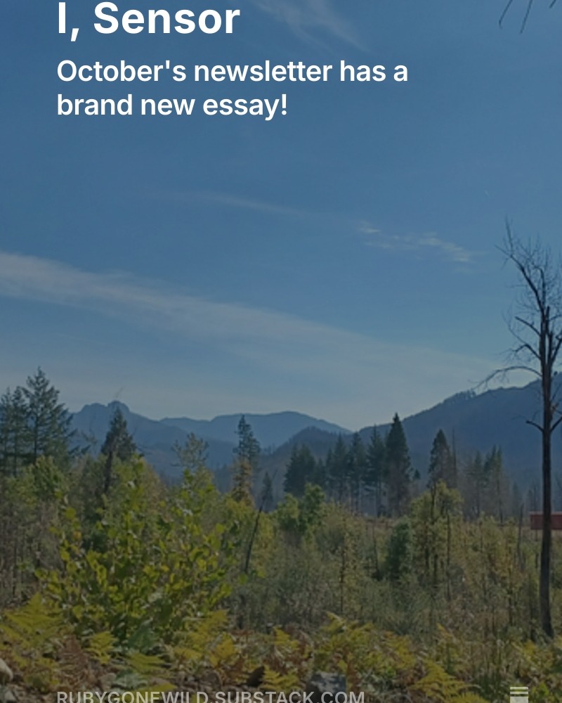 These days, in the world of writing, audience is everything and you can help me by becoming a subscriber to my Substack- Solid Ground: Stories of Earth and Everyday Life.
My writing is rooted in deep research and field work. Even free subscriptions underwrite the ability to ground truth my work with: travel to remote field sites, archival fees, data purchases, and in-person interviews.
If you believe careful, place-based environmental research and storytelling still matters, I invite you to become a supporter. (link in bio)
https://rubygonewild.substack.com/p/i-sensor
#nonfiction #writersofinstagram #environment #cleanwater