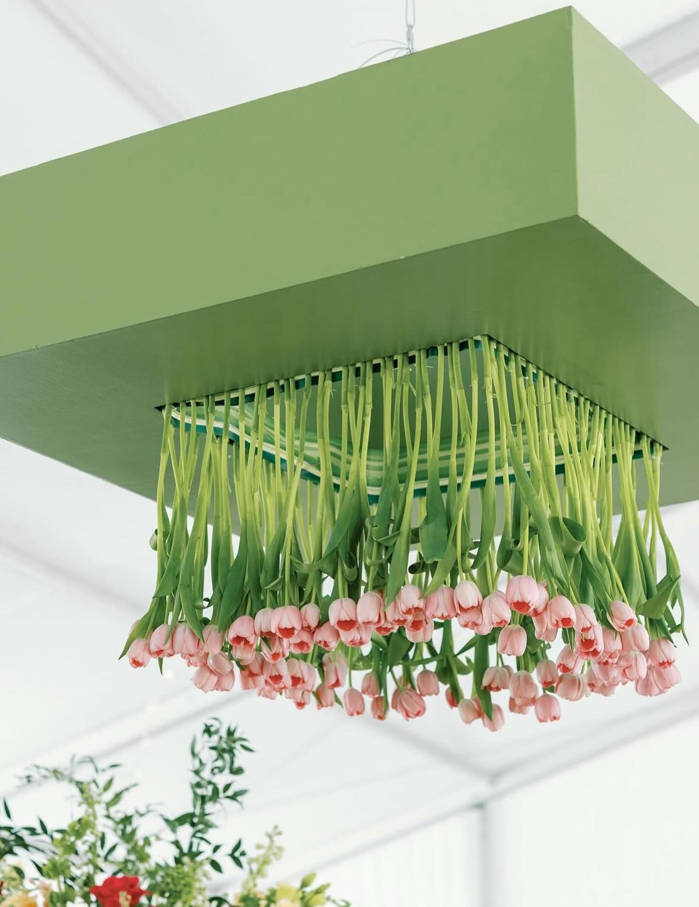 Because your event deserves more than ordinary!
VENDORS:
Planning + Design: @gretchenlarkanevents
Production Design & Custom Rentals:: @cae_lr
Floral Design: @tanarahluxefloral
Photography: @faithalexanderphoto
Videography: @bearspearfilms
Venue: @argentaplaza
Rentals: @eventology_us
Entertainment: @diamondempireband