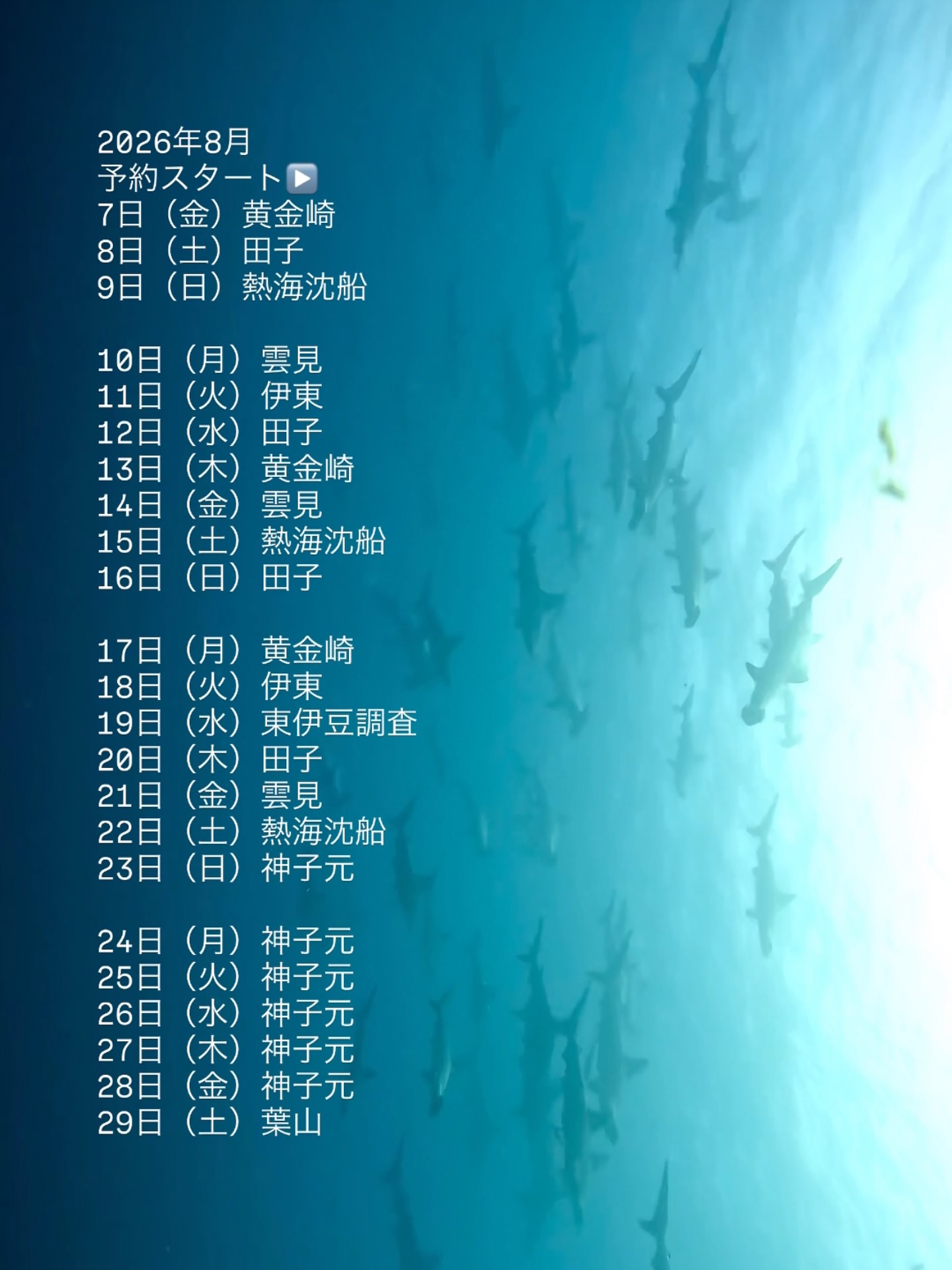 2026年8月の伊豆ツアーの予約スタートしました。
例年週末は早く満席になるので、早めにご連絡下さい!
行き先は海況とメンバーで変更の可能性あります。
後半は三島ではなく南伊豆に滞在して1週間神子元!
参加者のレベルを分けてツアー開催しようと思っています。
①初めての神子元(50本以上アドバンス以上、神子元に初挑戦)
②普通の神子元(50本以上アドバンス以上、普通の人の神子元)
③ガンガン神子元(攻める、神子元バカのための神子元)
先着順でレベル分けをします。
⚠️ただし、神子元で潜れるスキルがあるか、私が直接見て判断しますので、基本的に&Oceanリピーター様向けのツアーとなります。
初めてのお客様は一度他のポイントのツアーにご参加下さい。
またスキルが十分か分からない、という方は2026年は他のポイントのツアーに参加頂き、神子元は2027年に挑戦してください。