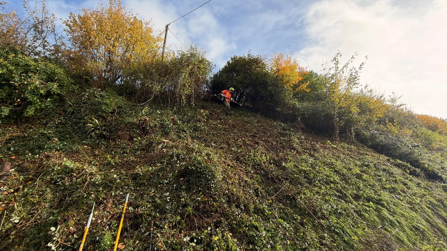 On site today working on a challenging bank clearance — the steep angle and overgrowth made this one a bit of a mission! 💪
Plenty of cutting, chipping, and clearing involved, plus a bit of a battle with the weather 🌧️
Progress is looking great though — the difference already is huge! Excited to see this one fully cleared and tidy soon 👀
#SiteWork #Groundworks #ClearanceJob #LandManagement #TeamWork #Progress