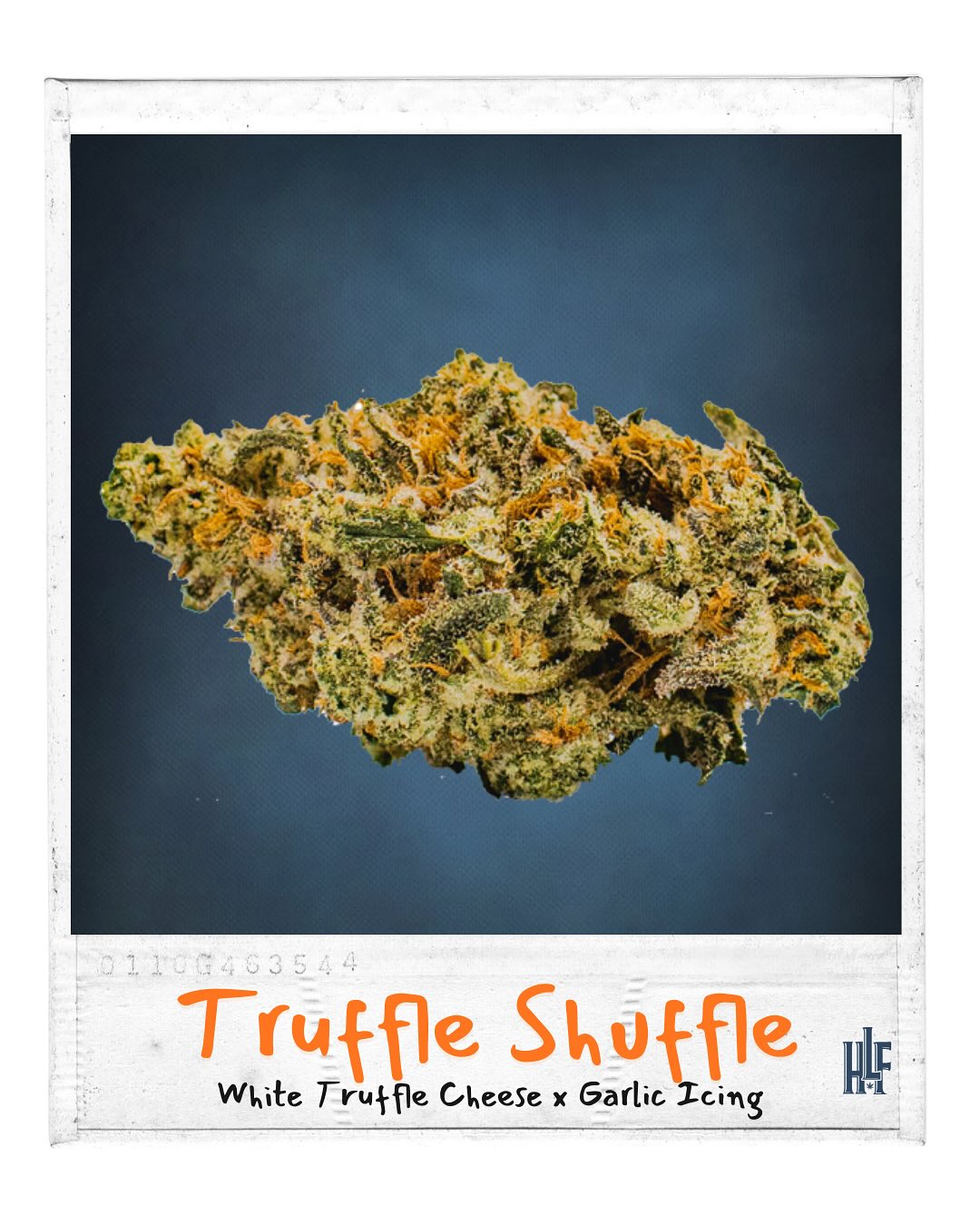 Our little terps are growing up so fast 🥹🍃 First class photo day signed, sealed and definitely not sober. 📸